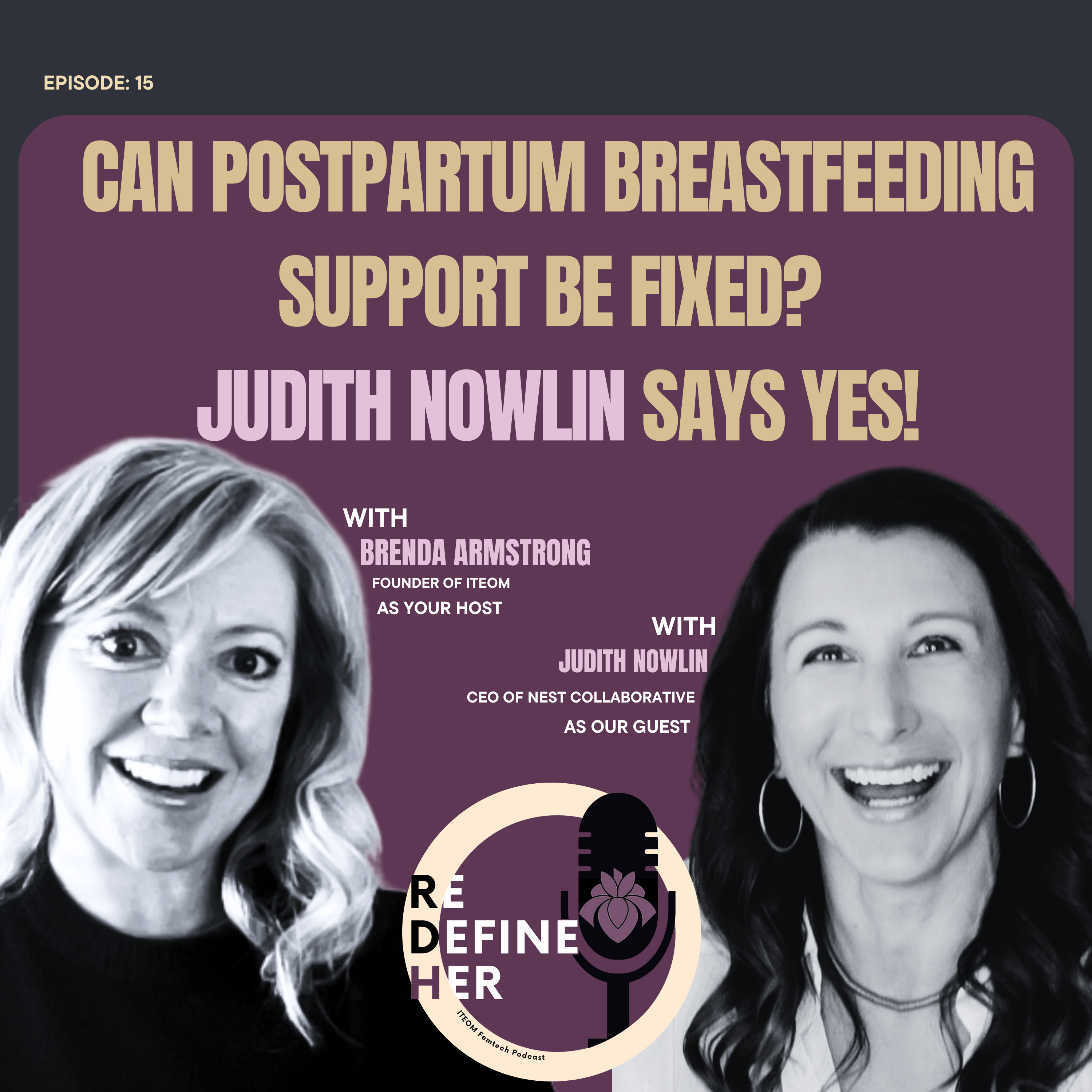 S1E15: Can Postpartum Breastfeeding Support Be Fixed? Judith Nowlin Says Yes! episode artwork