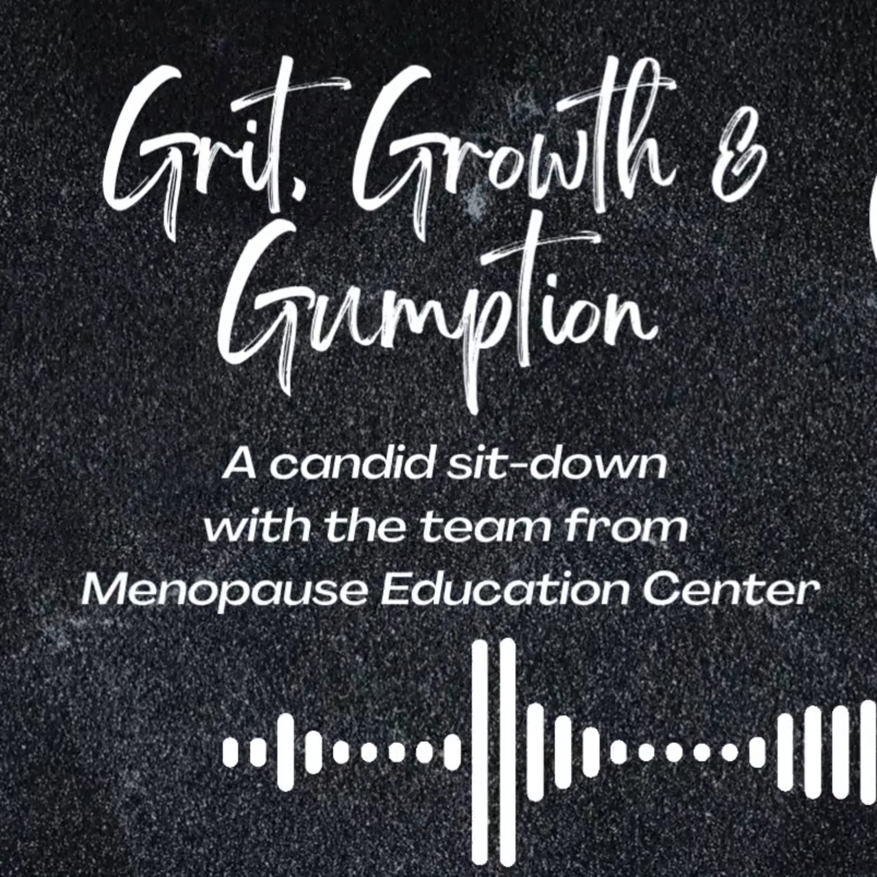 The Menopause Education Center: Hot Flashes, Cold Truths & Doing it with Grit episode artwork