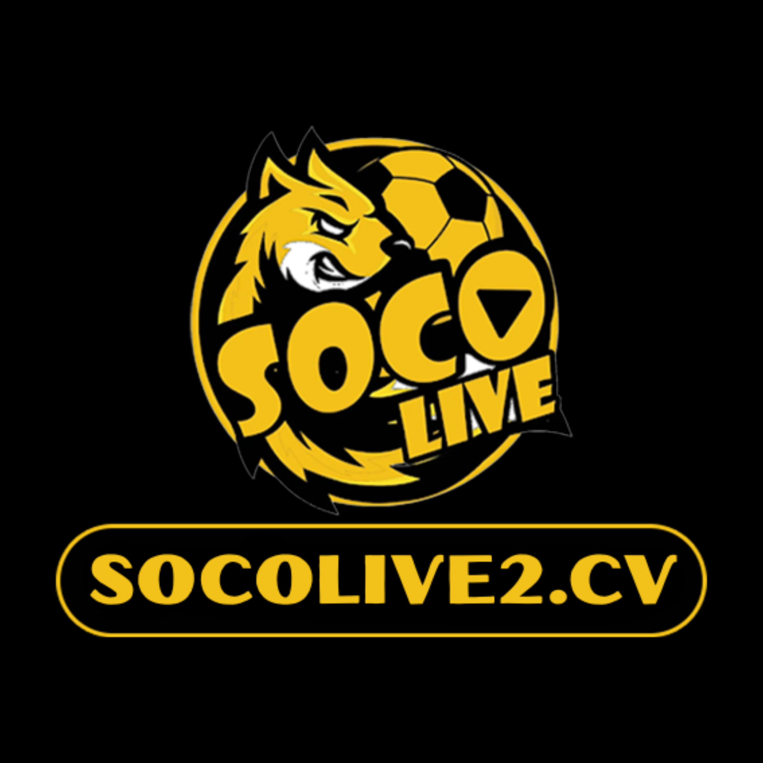 socolive kenh truc tiep bong da
