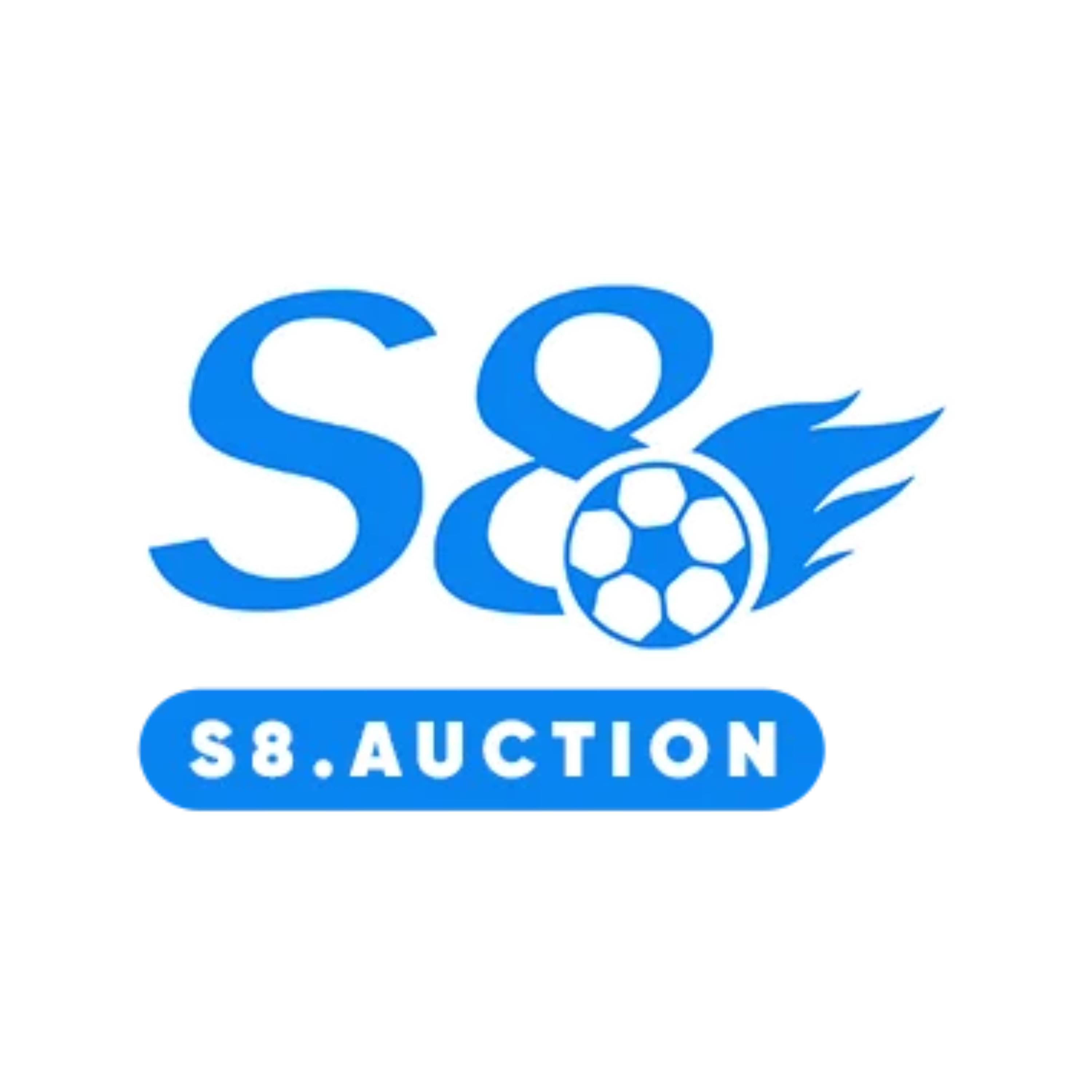 S8 Auction