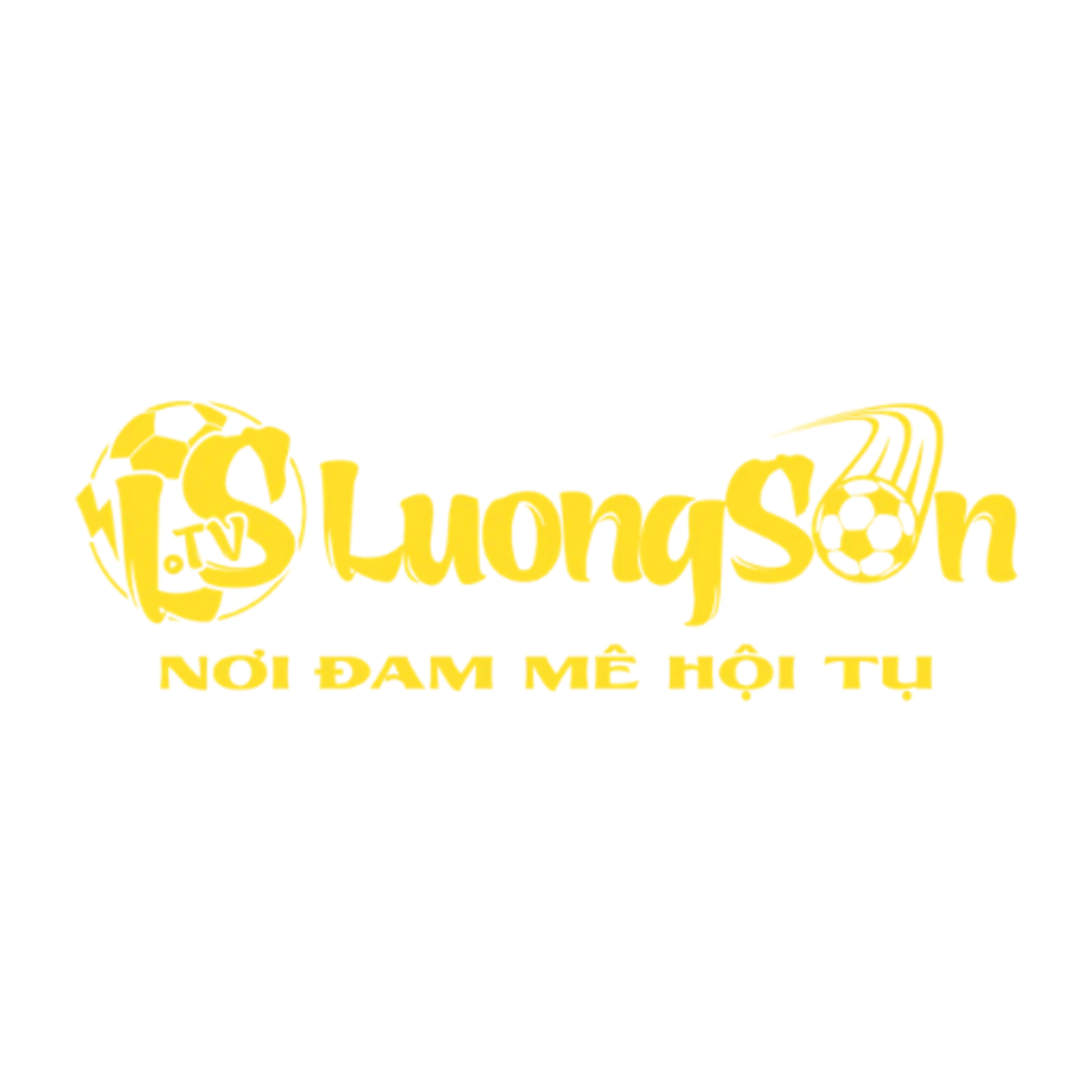 Luong Son TV episode artwork