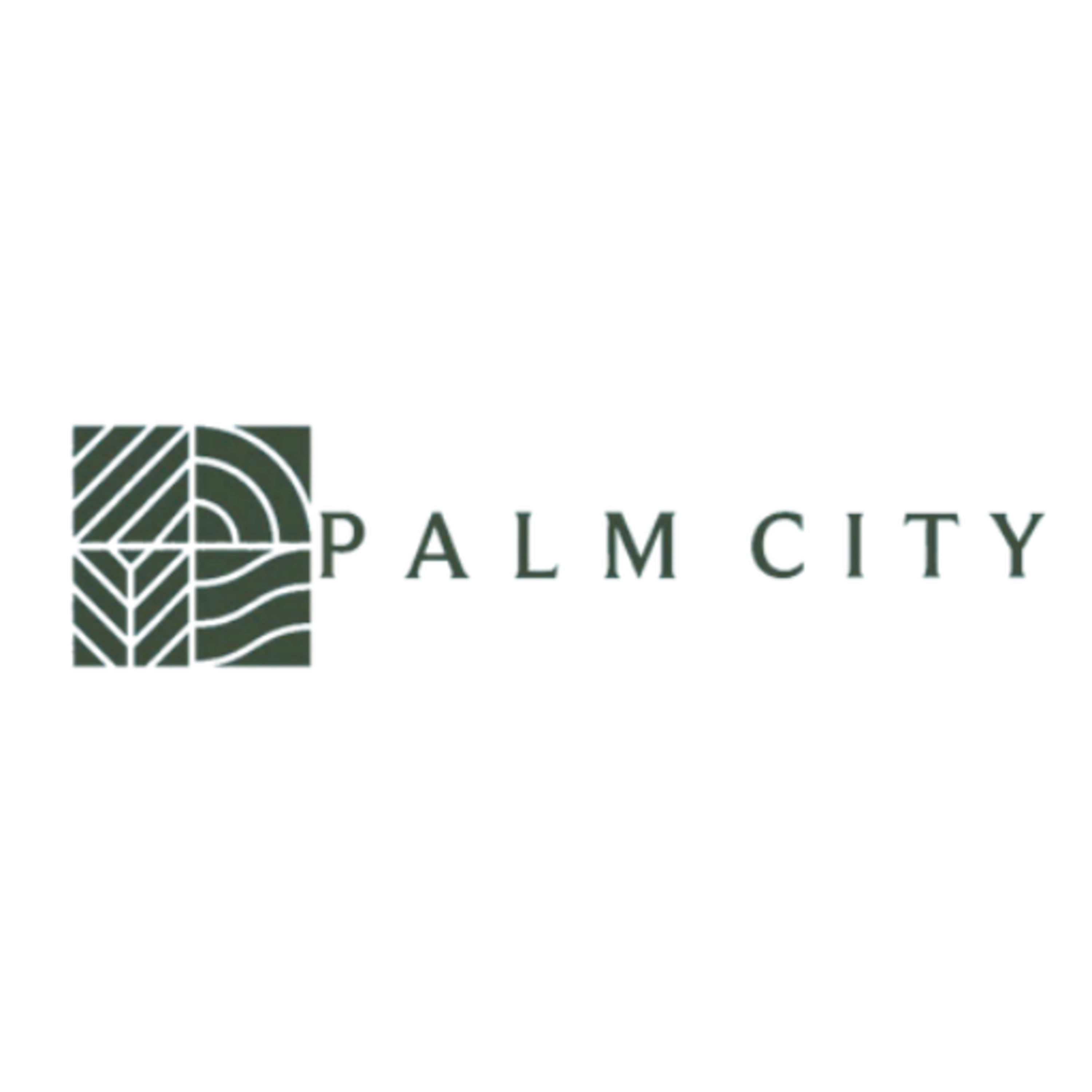 Palm River episode artwork