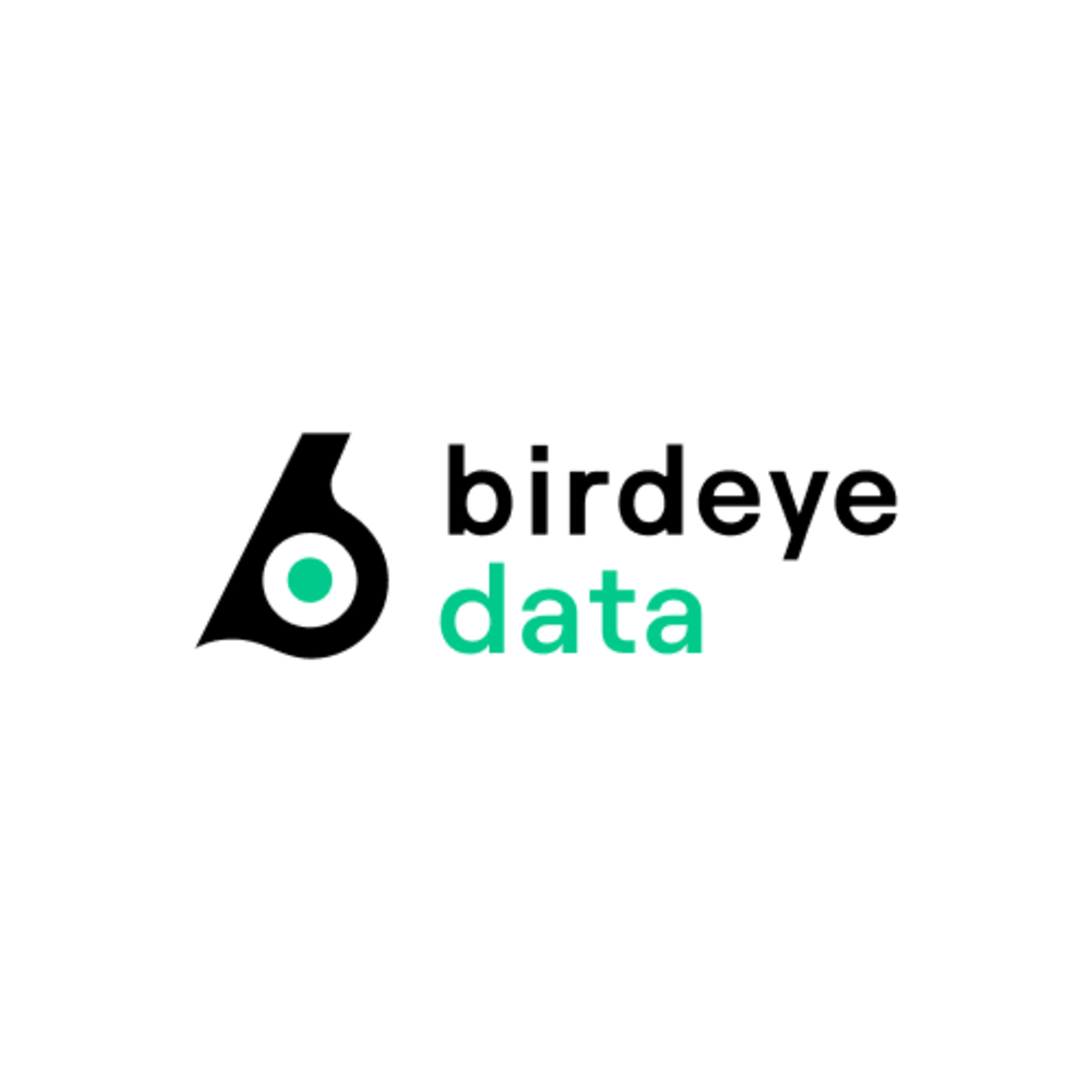 Birdeye Data episode artwork