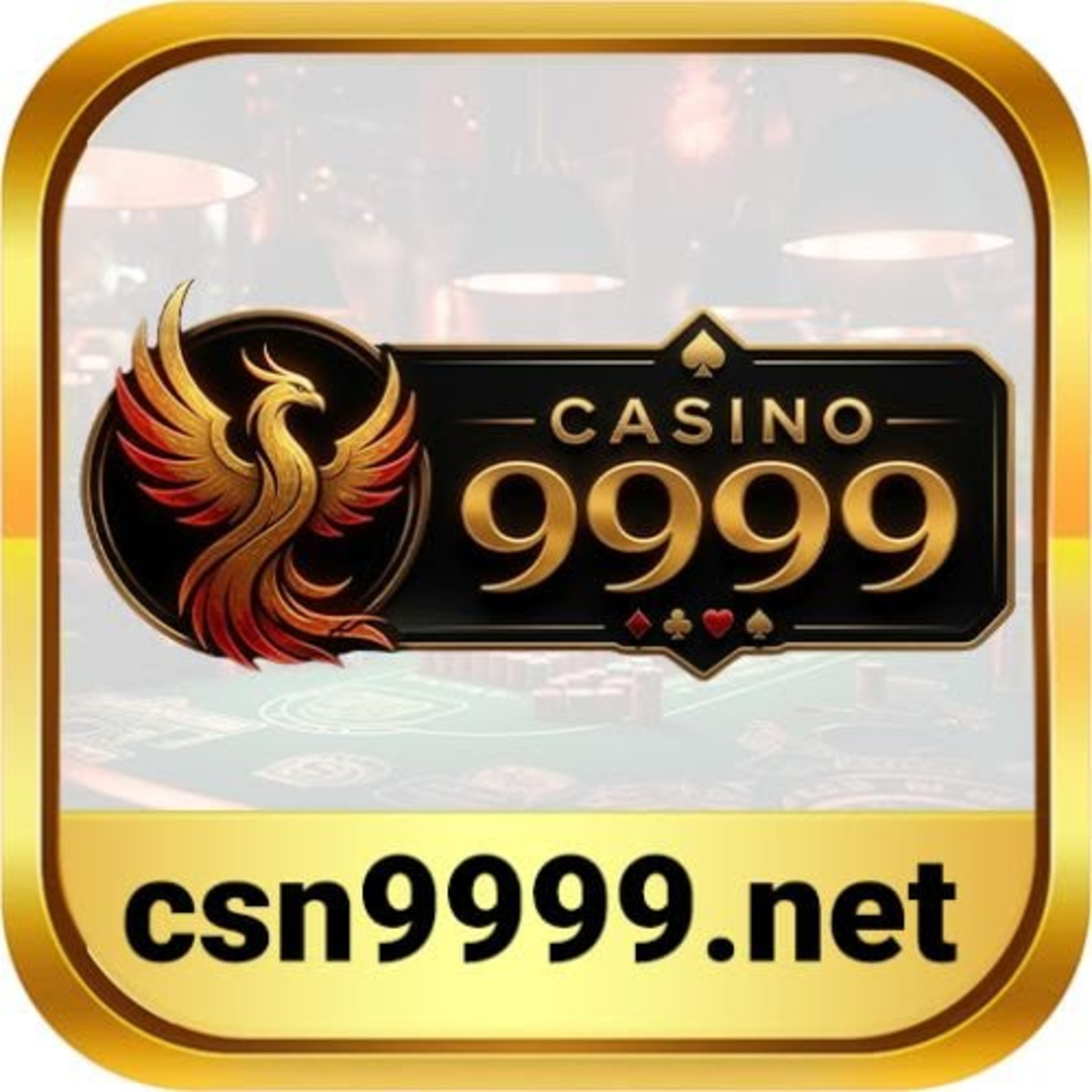CSN9999 Net episode artwork