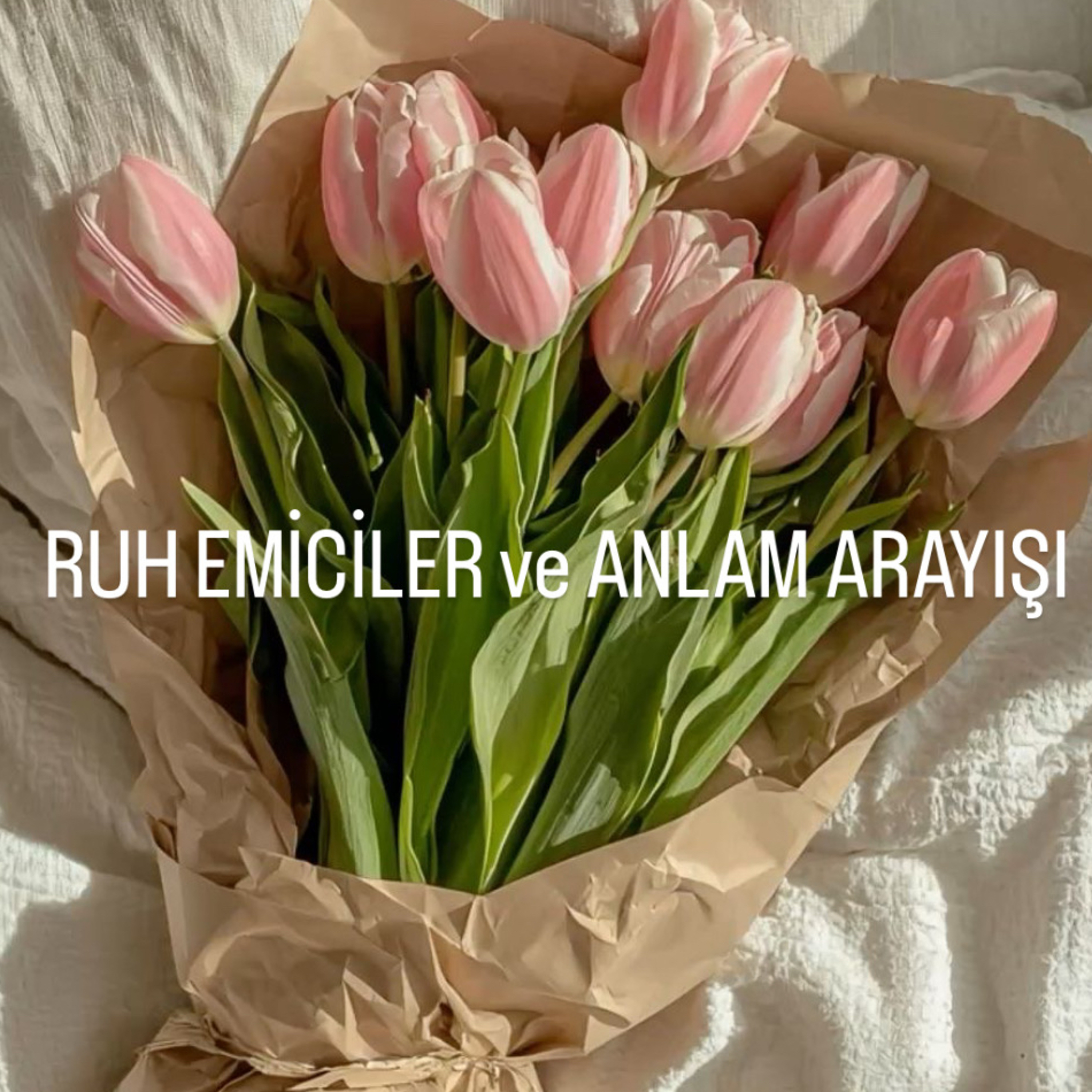 Ruh emiciler ve Anlam arayışımız: Negatifler bizi etkiliyor mu? episode artwork