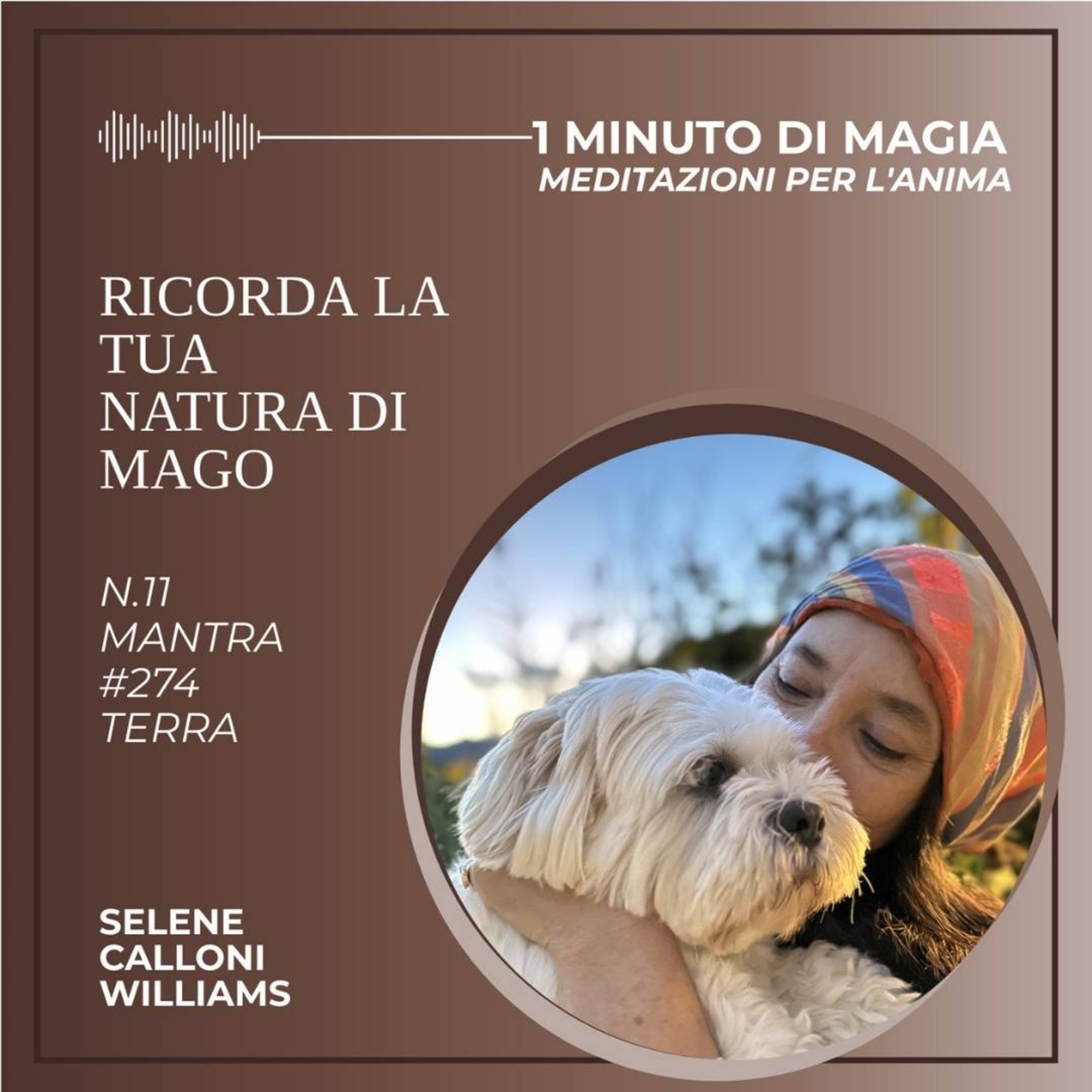 Risveglia la tua natura di mago - Mantra #274, TERRA episode artwork