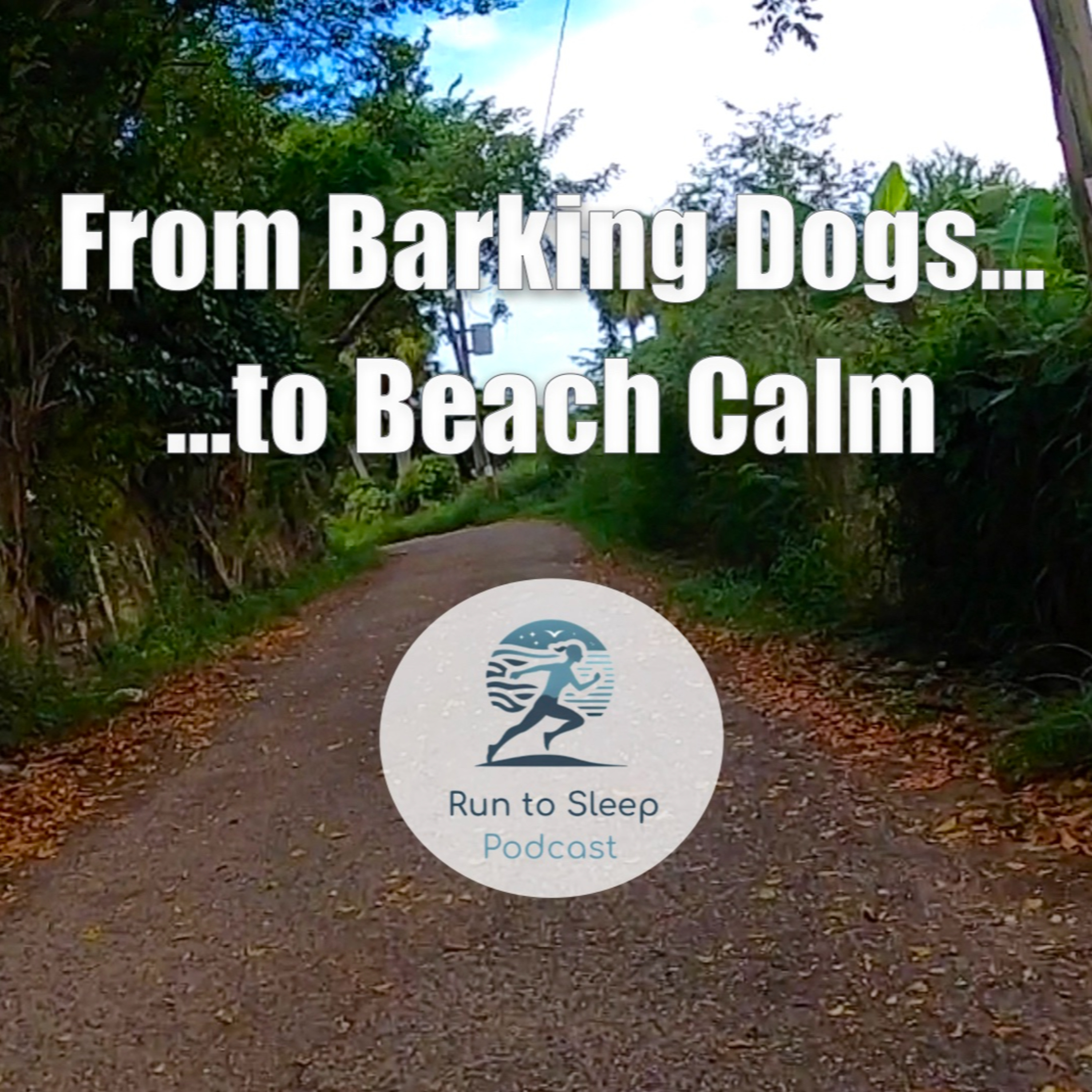 From Barking Dogs to Beach Calm episode artwork