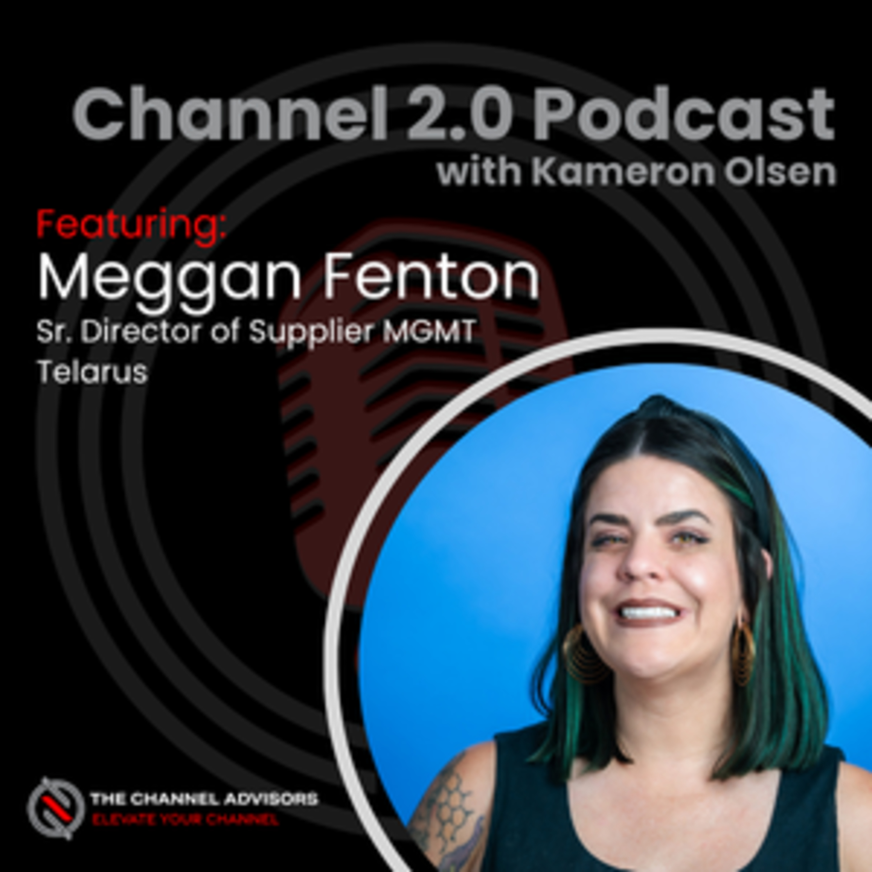 Behind the TSD Curtain: What It Really Takes to Get (and Stay) in a Portfolio with Meggan Fenton episode artwork