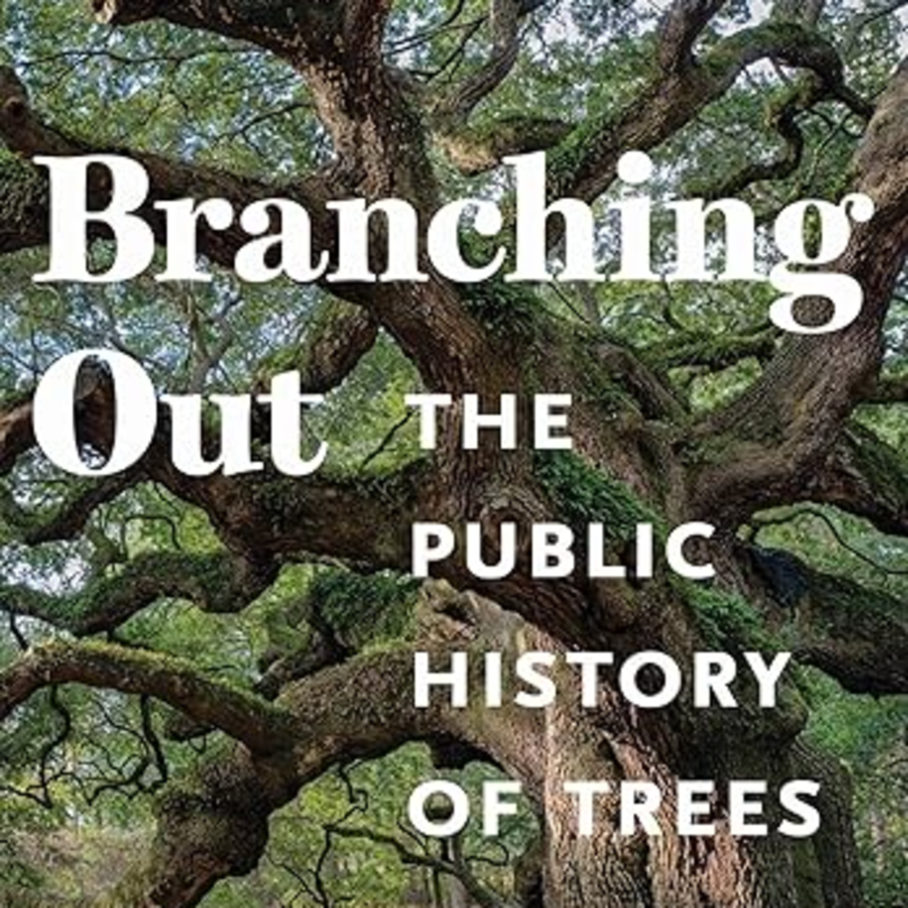 Branching Out: The Public History of Trees, Editors Leah S. Glaser and Philip Levy – Tree Book Passages
