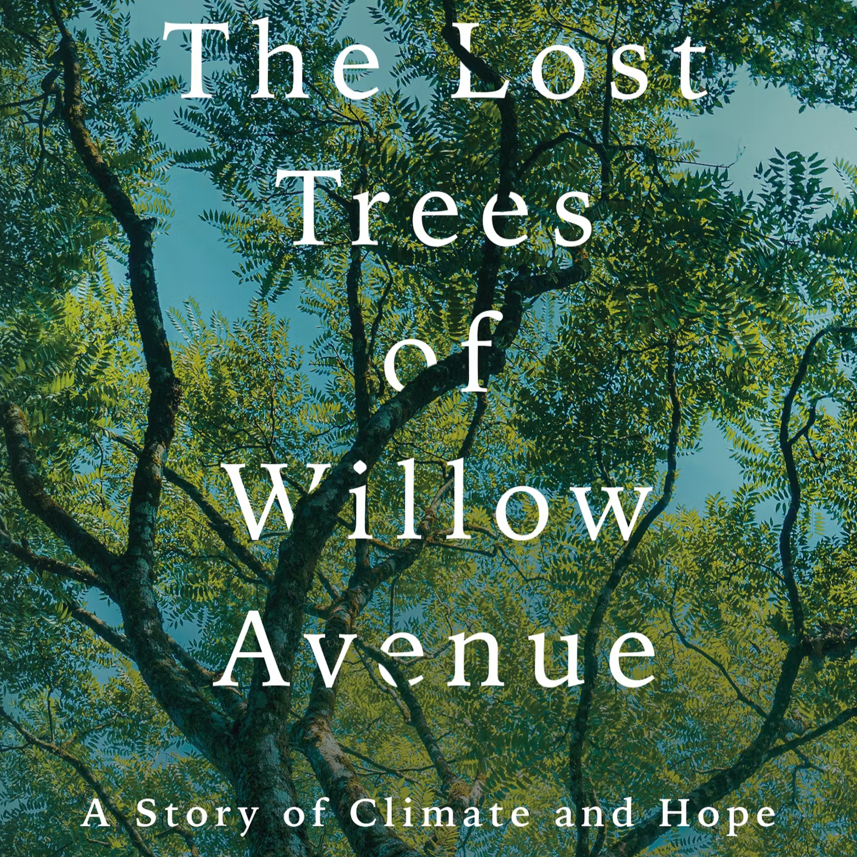 The Lost Trees of Willow Avenue by Mike Tidwell – Tree Passages