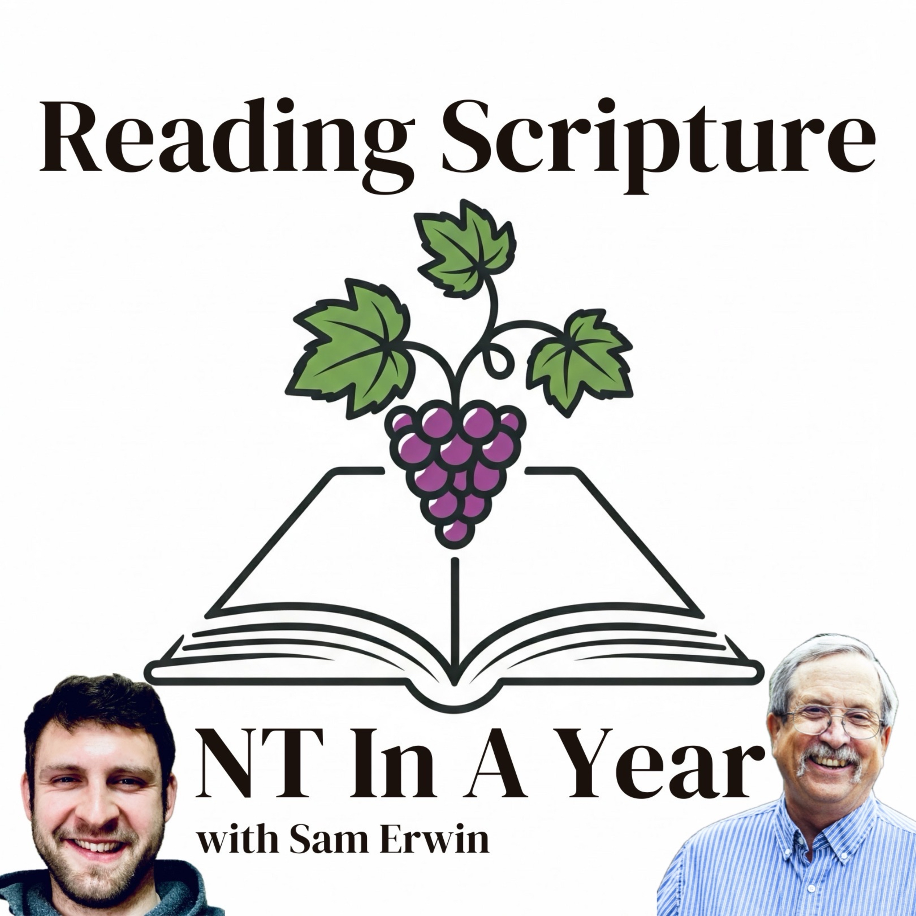 Reading Scripture: New Testament In A Year
