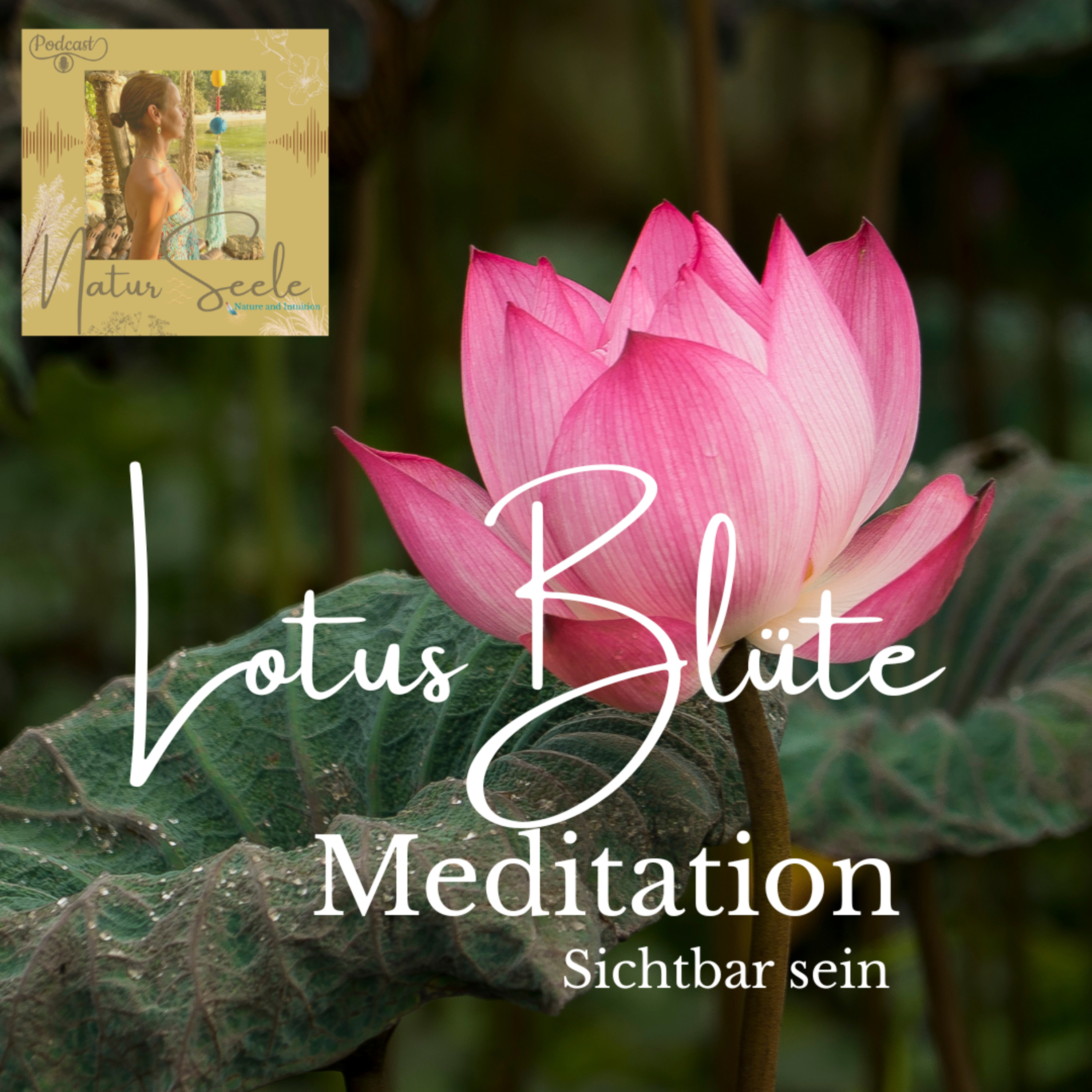 Meditation Lotus Blüte - Sichtbar sein episode artwork