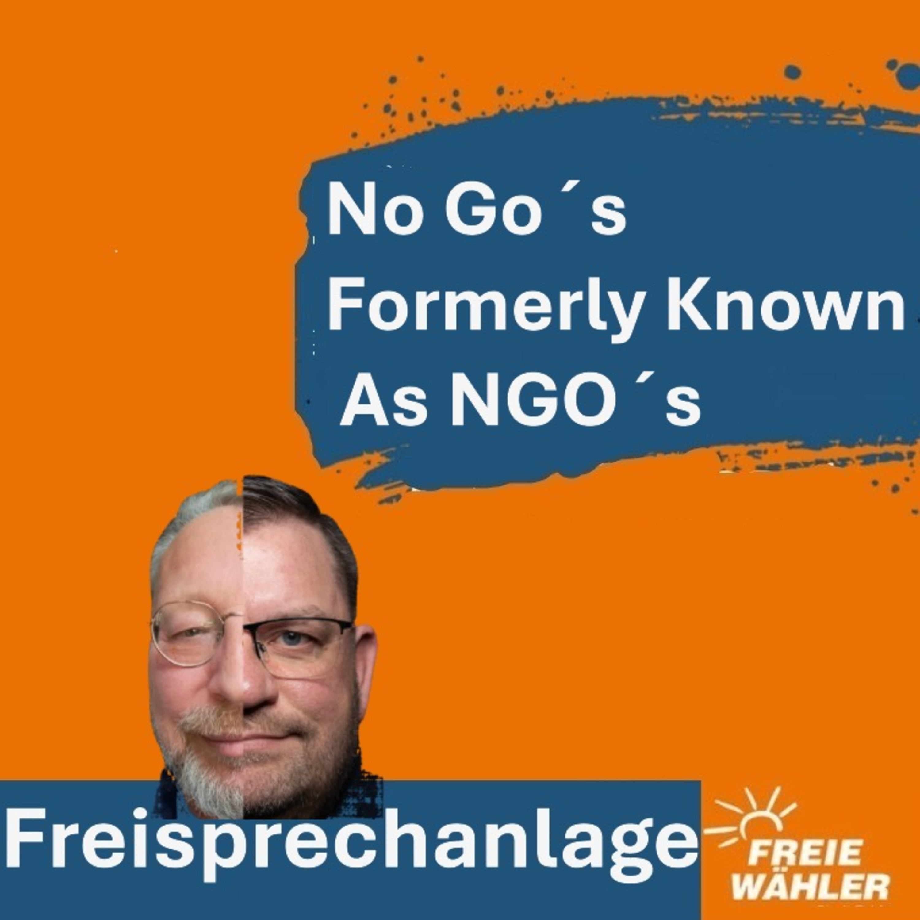 No Go´s Formerly Known As NGO´s episode artwork