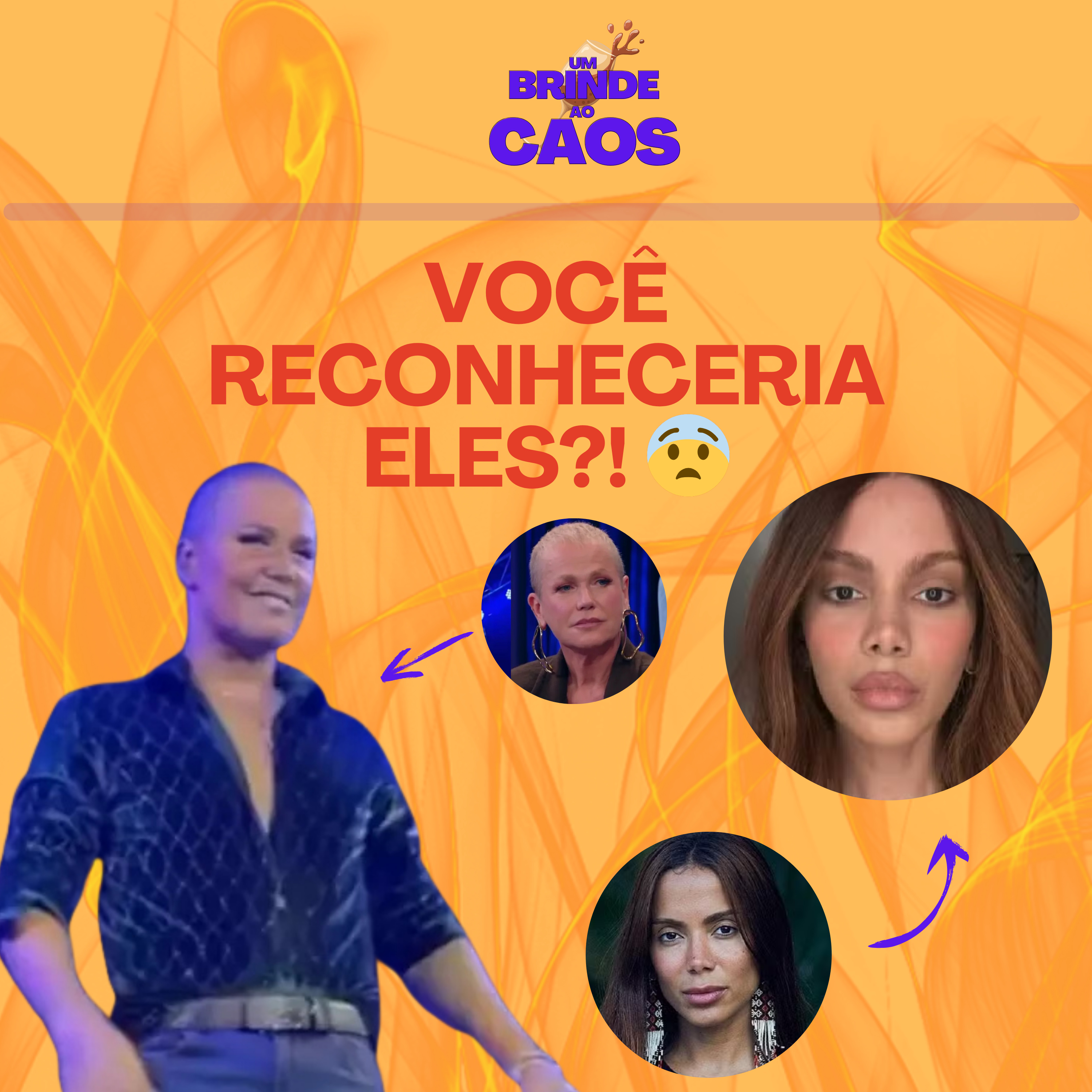 Um Brinde Ao Caos