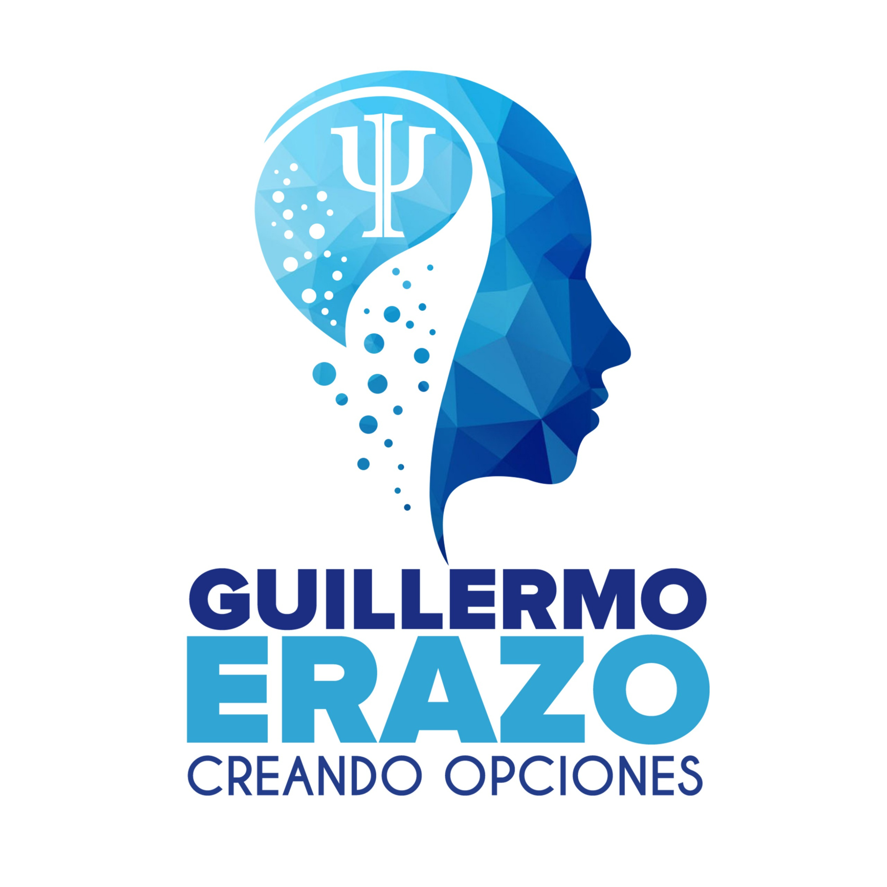 Portada de Guillermo Erazo Online