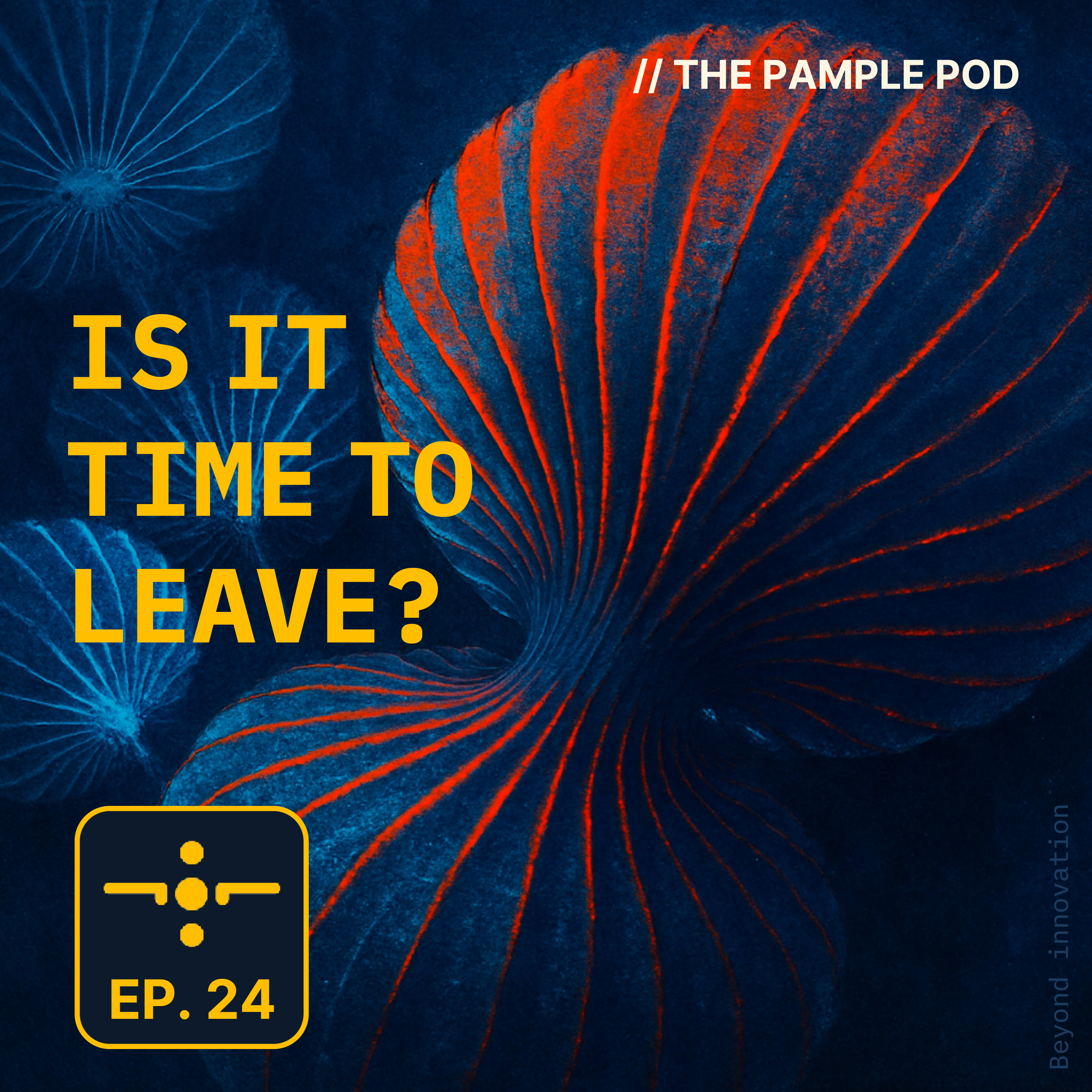 Stepping Down & Parachute Cactus | S1E24 episode artwork