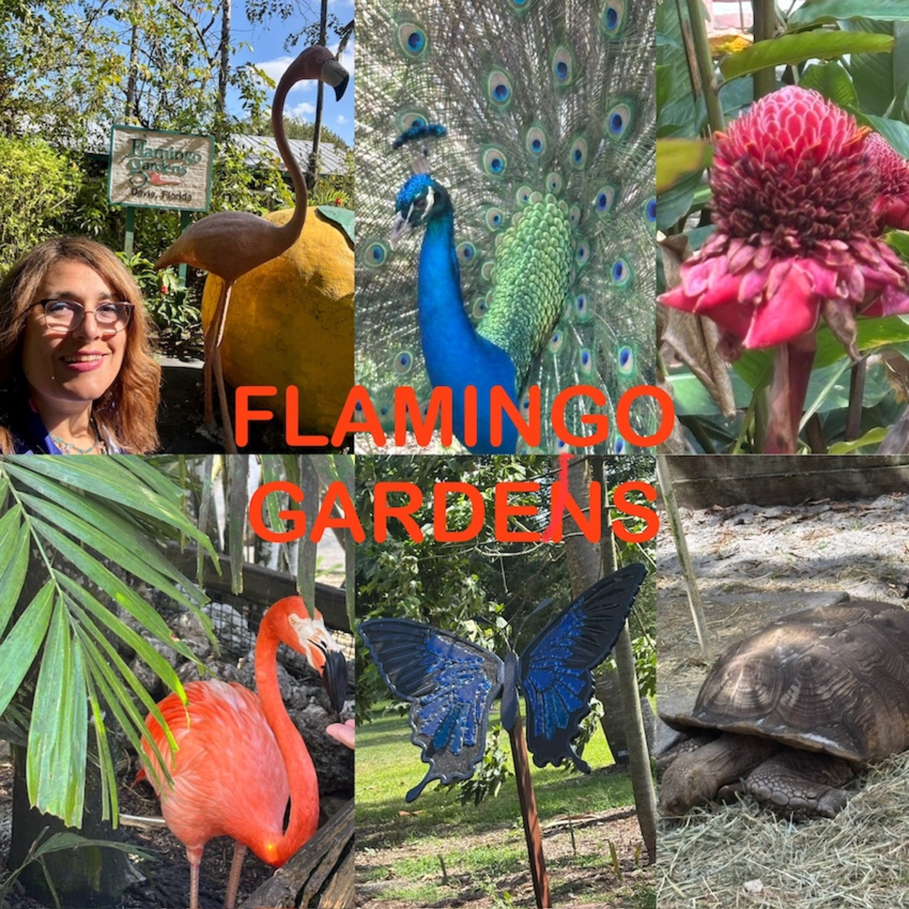 Florida Fascinations