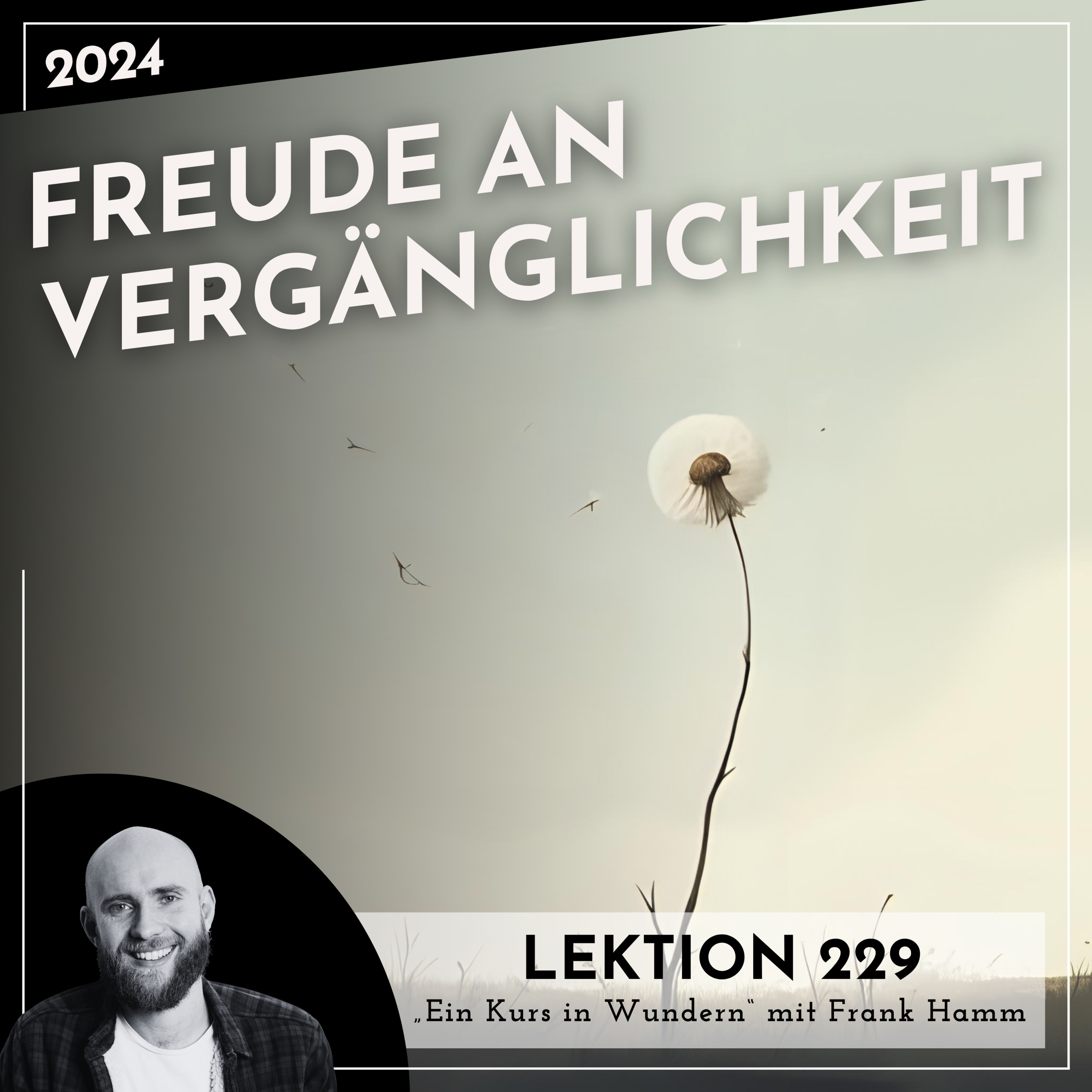 Lektion 229 – Freude an Vergänglichkeit – Ein Kurs in Wundern mit Frank Hamm episode artwork