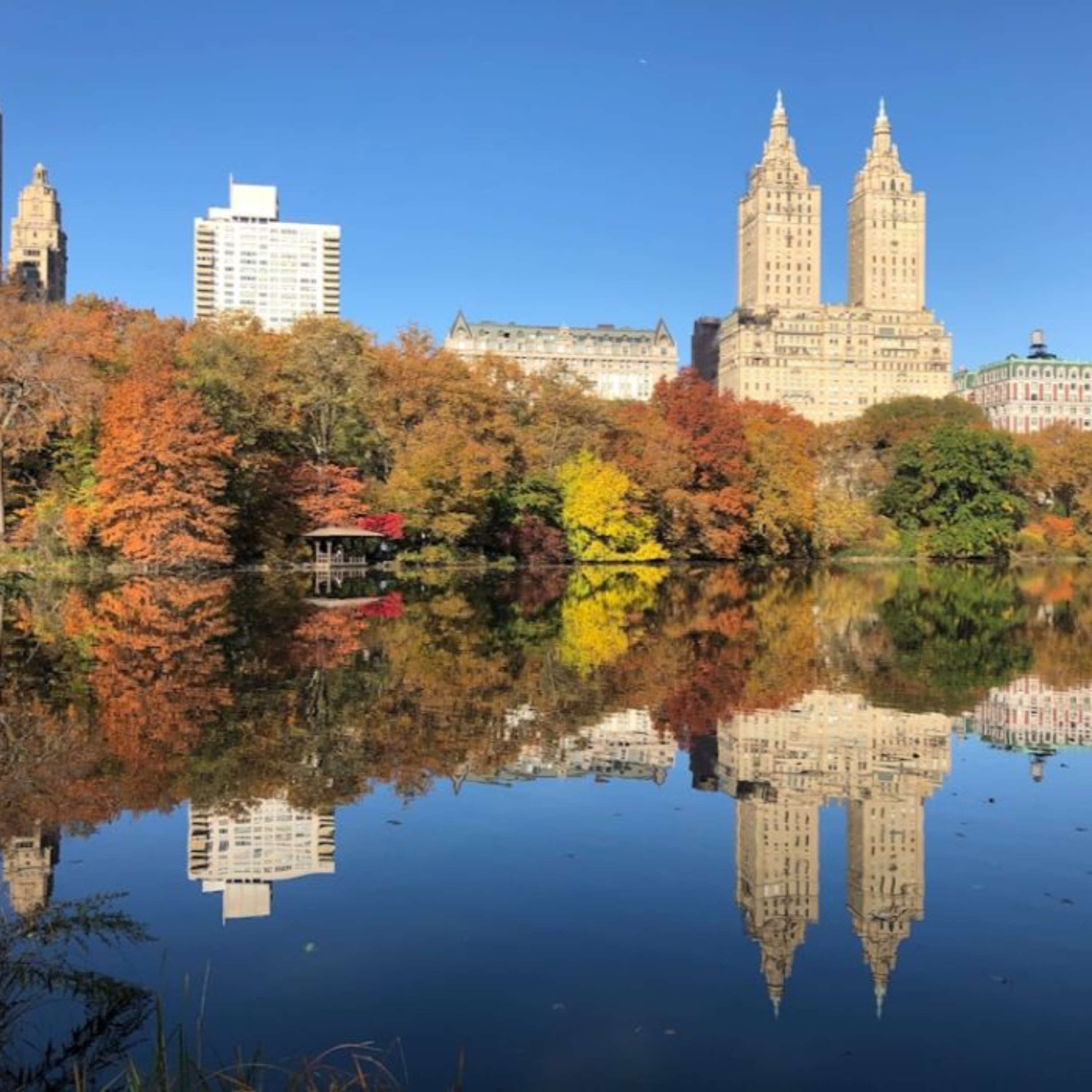 NYC Parks Celebrates 2024 with Groundbreaking Public Space Improvements episode artwork