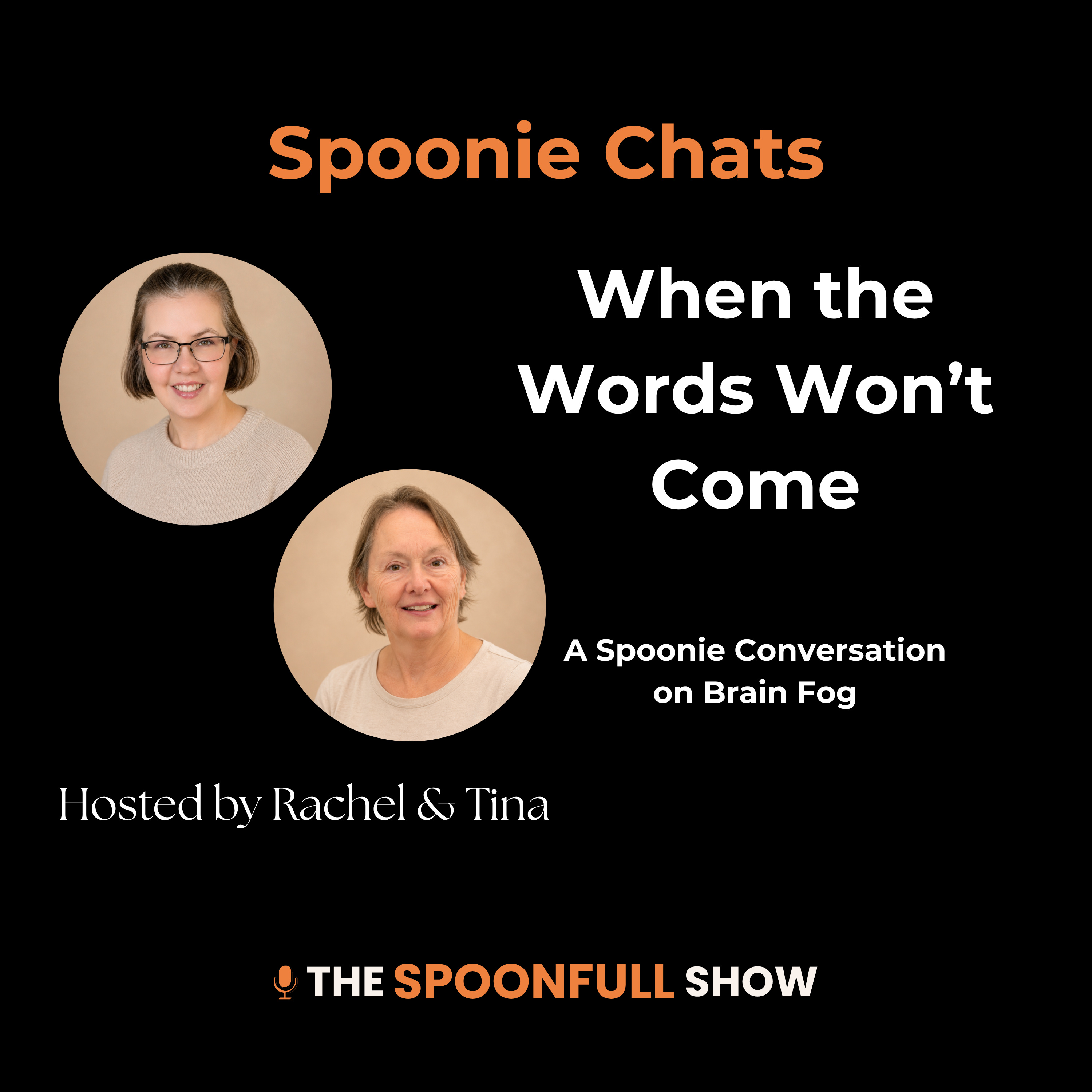 Ep. 104: When the Words Won’t Come: A Spoonie Conversation on Brain Fog episode artwork