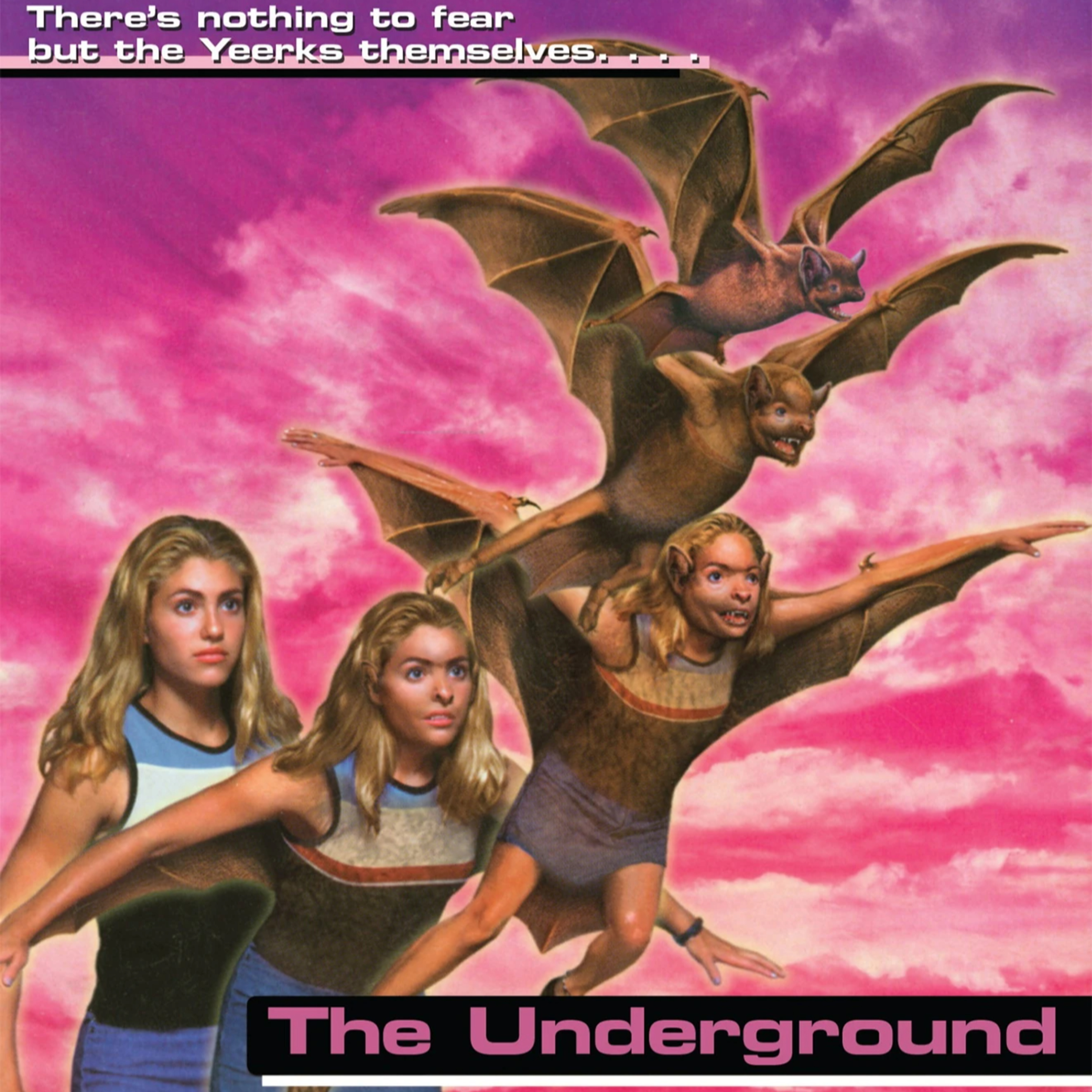 📖S2E22 - Book #17 - The Underground (Happy Meal with Extra Trauma) [ft. Emily from Animorphs Audiobooks] episode artwork