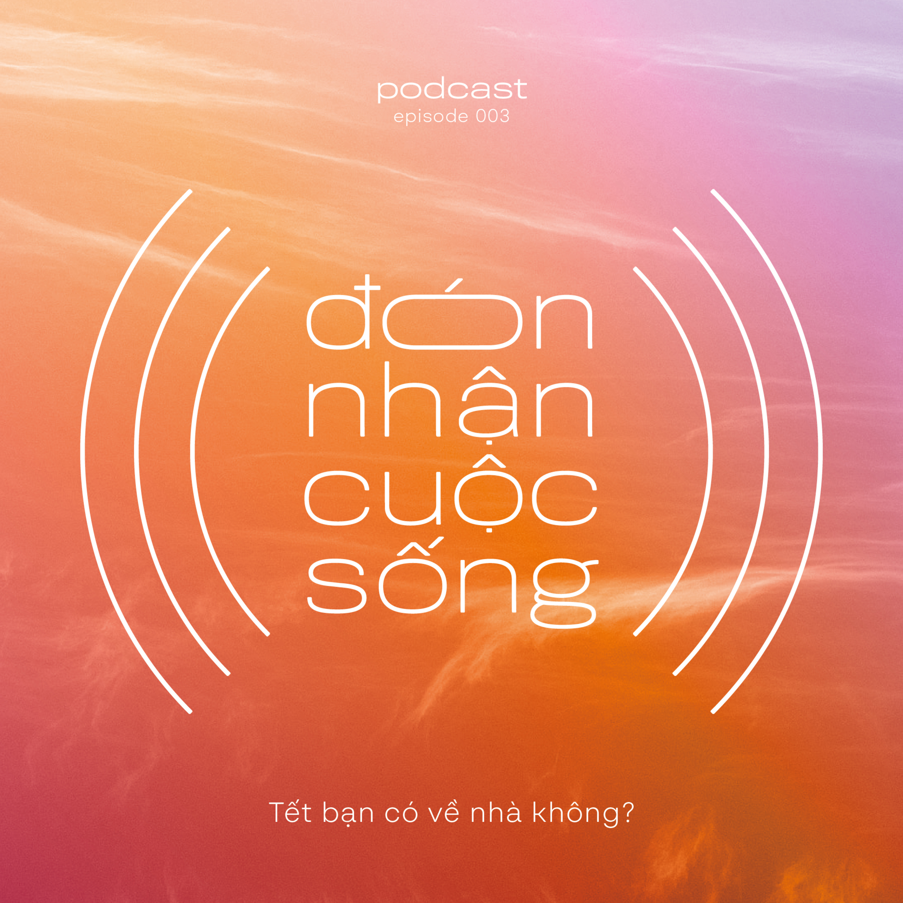 3. Tết bạn có về nhà không? episode artwork