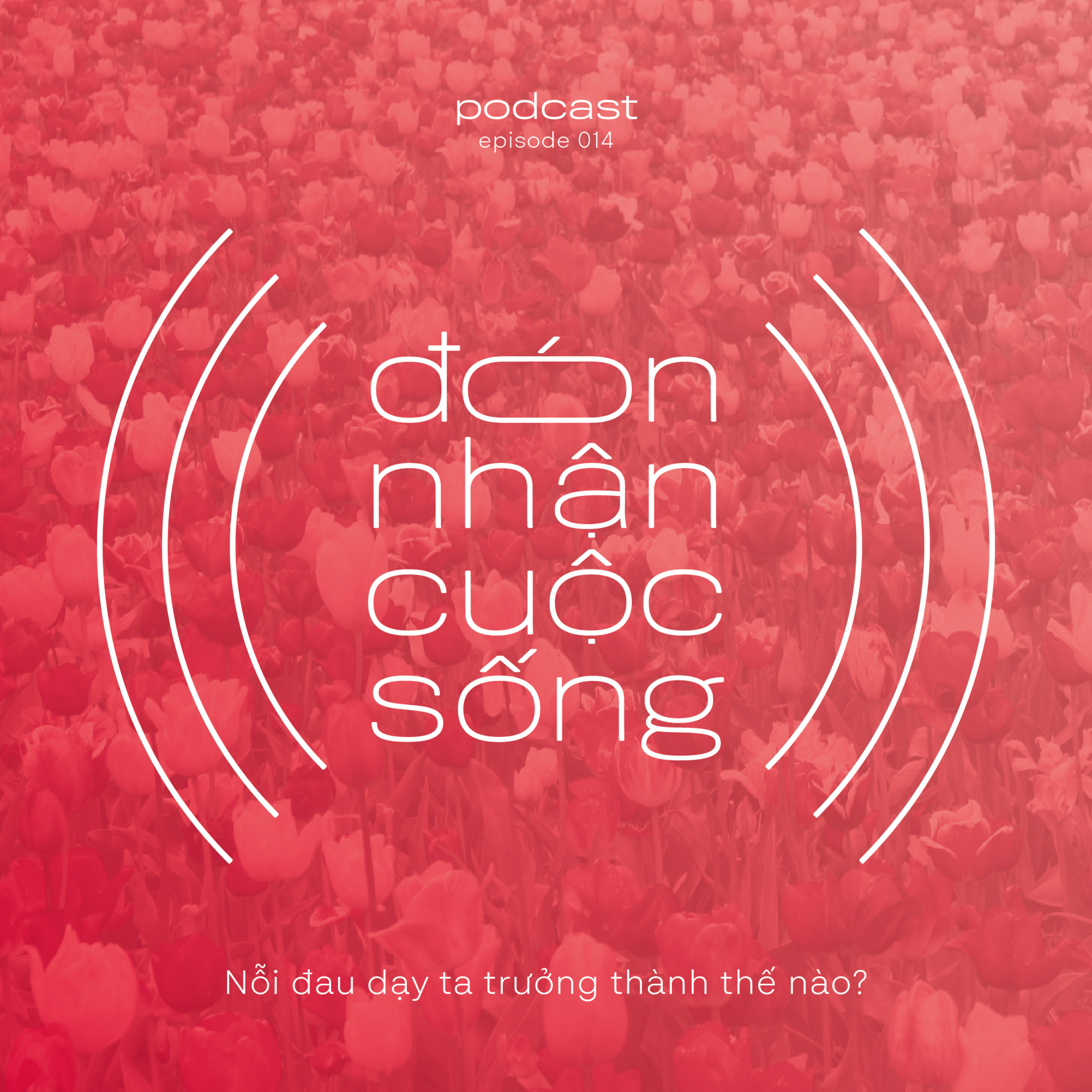 14. Nỗi đau dạy ta trưởng thành thế nào? episode artwork