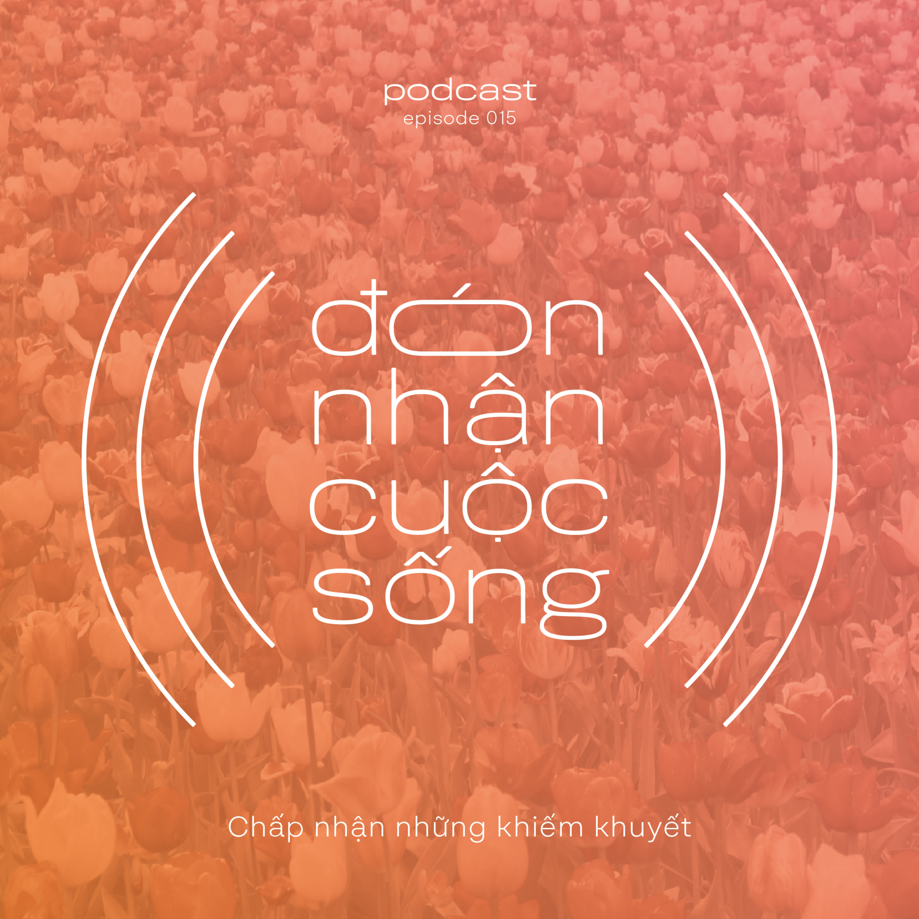 15. Chấp nhận những khiếm khuyết episode artwork