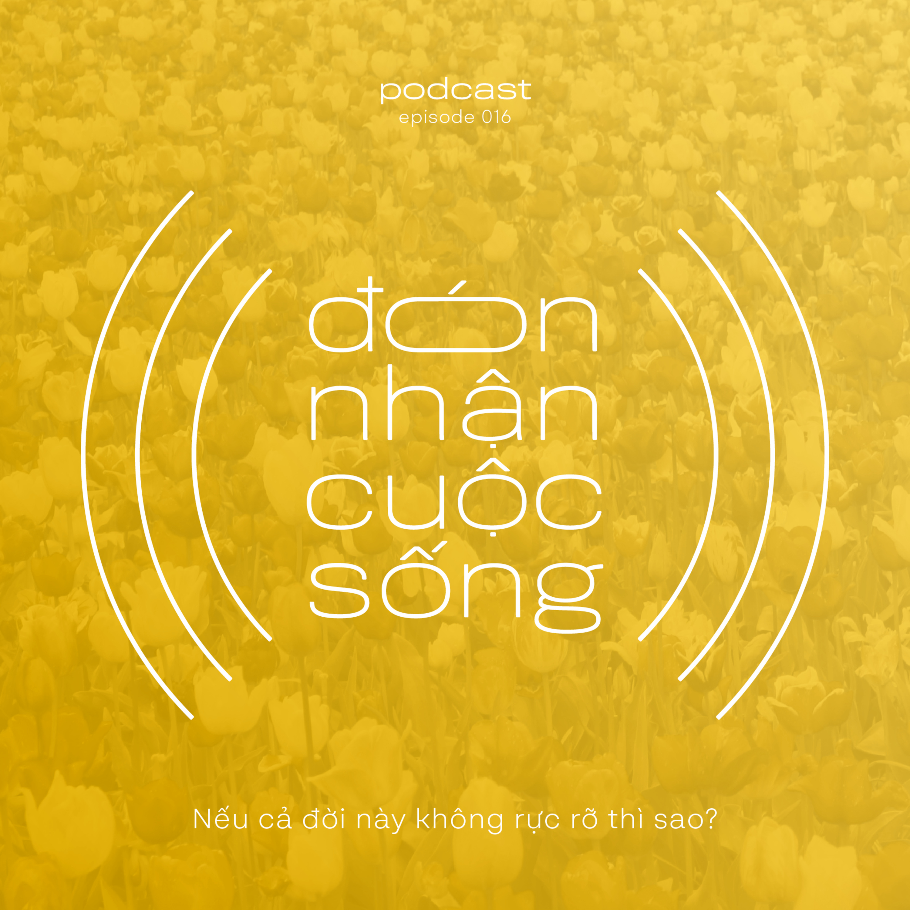 16. Nếu cả đời này không rực rỡ thì sao? episode artwork