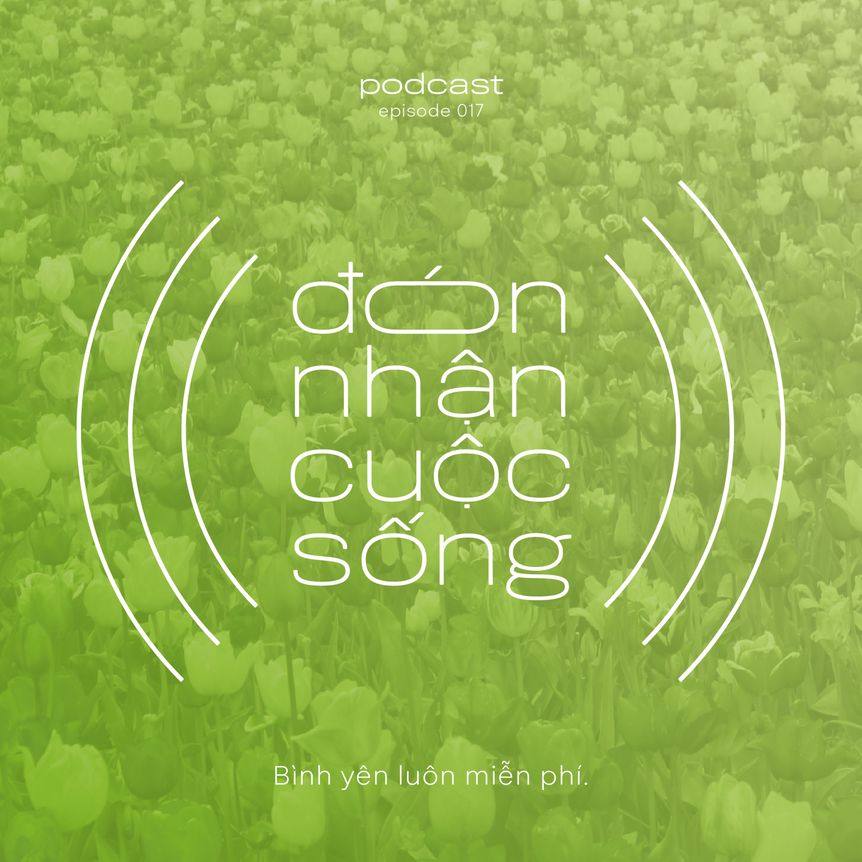 17. Bình yên luôn miễn phí episode artwork
