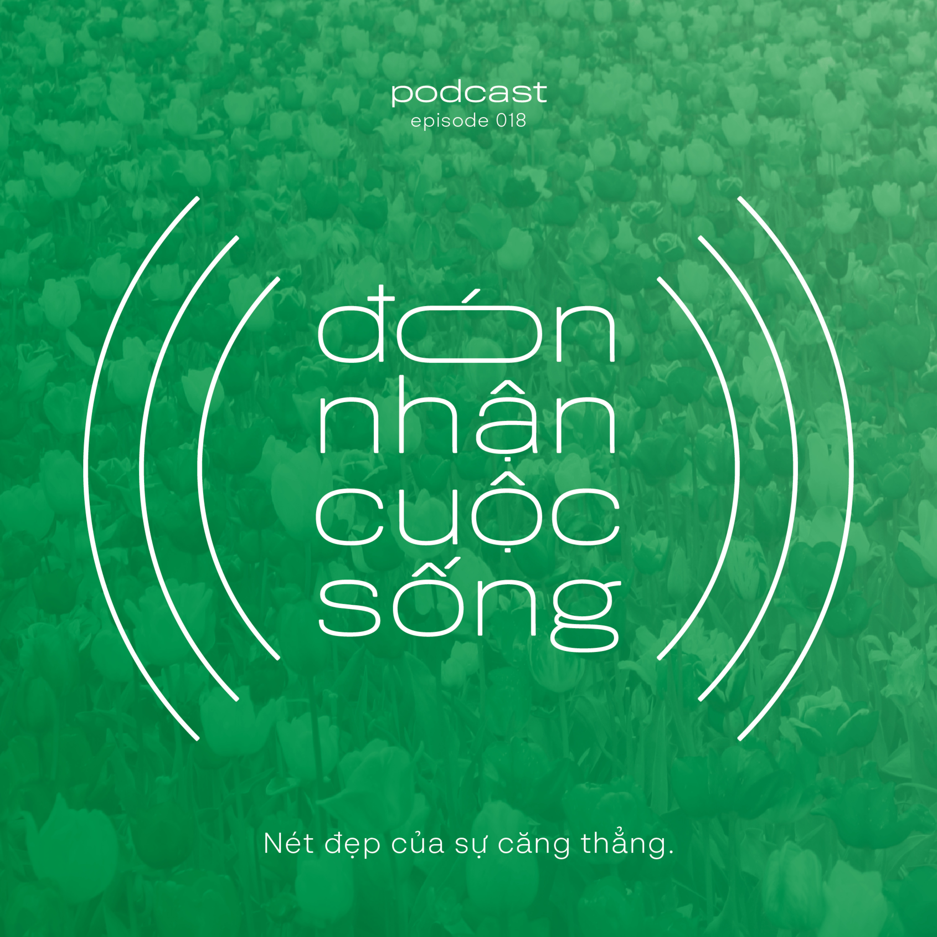 18. Nét đẹp của sự căng thẳng episode artwork