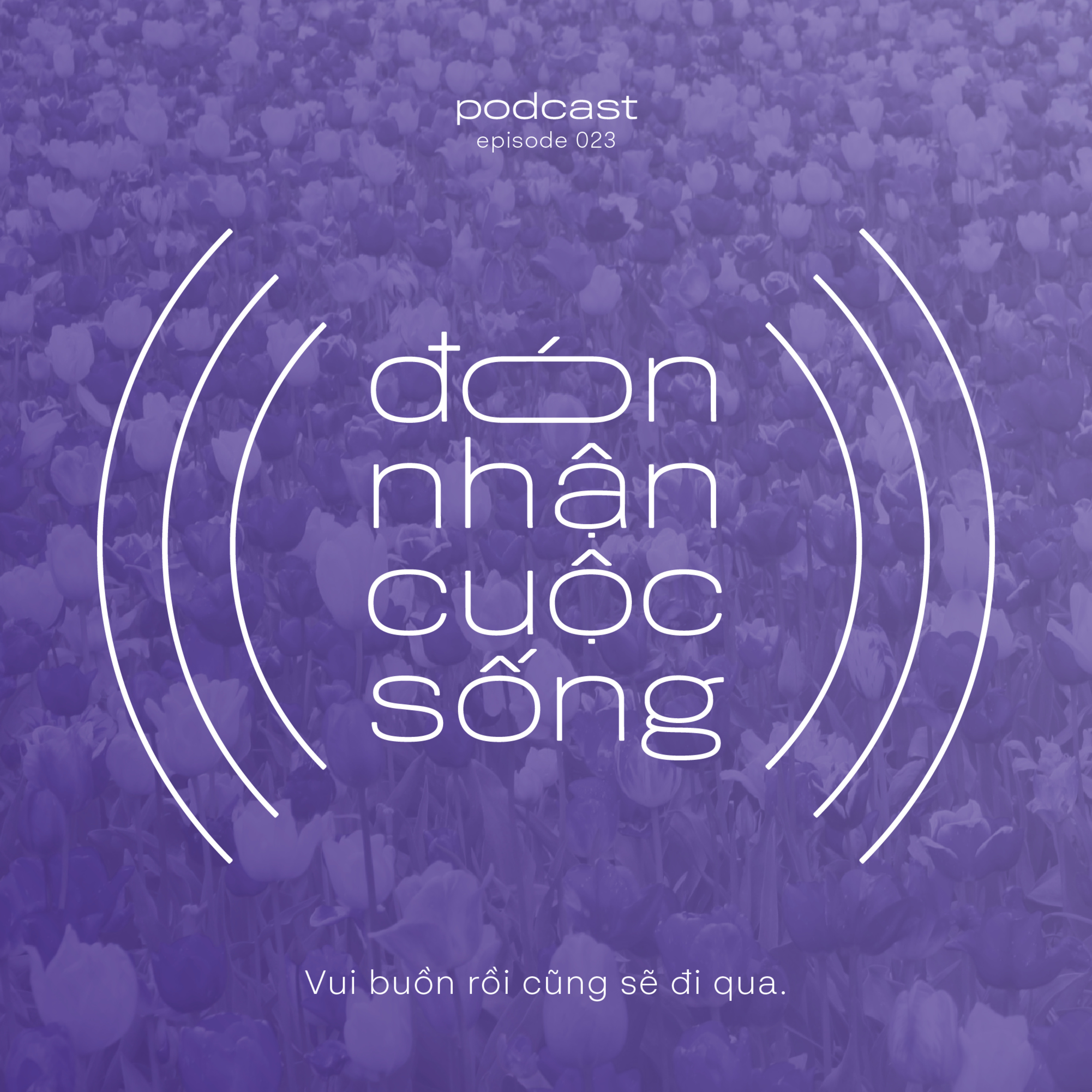23. Vui buồn rồi cũng sẽ đi qua. episode artwork