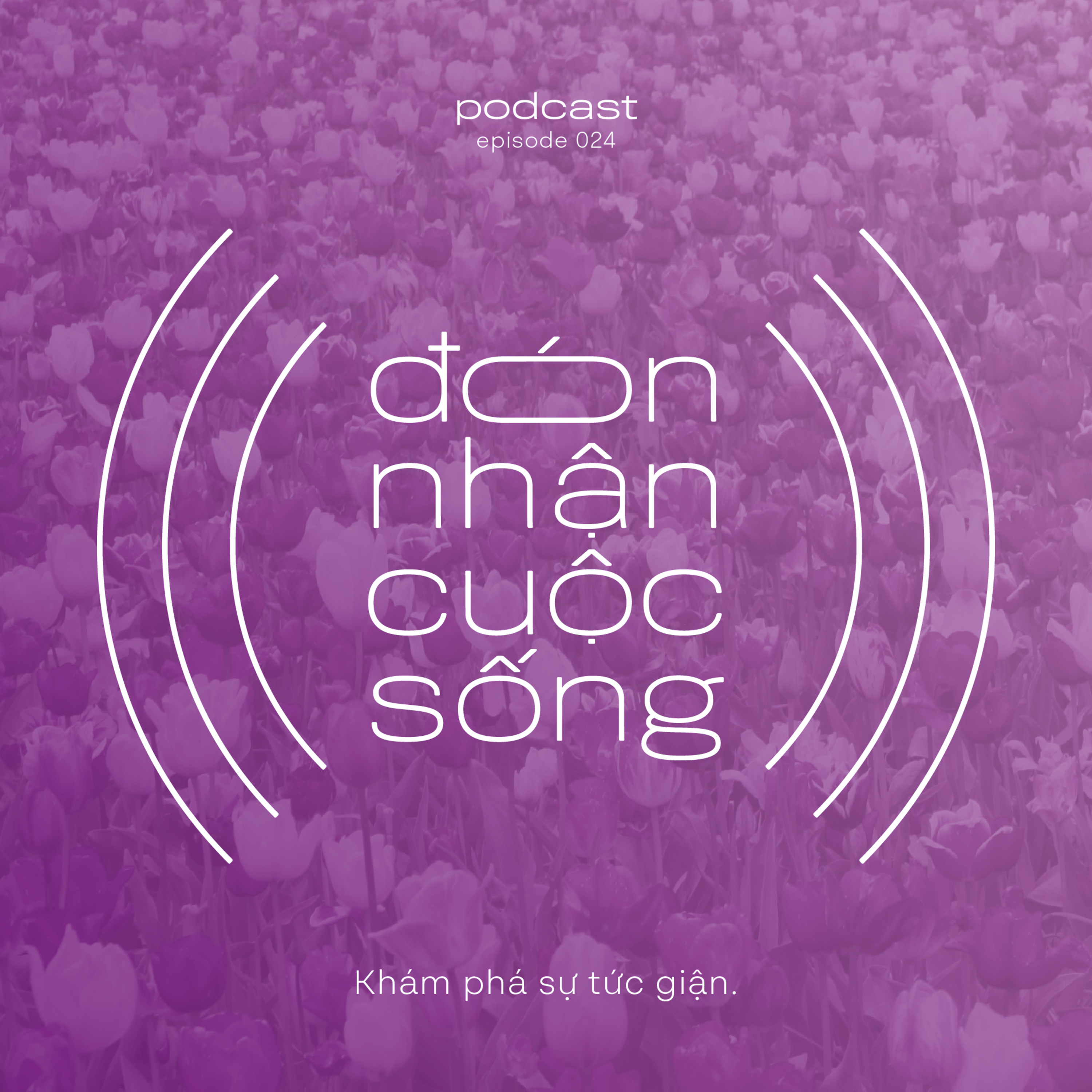24. Khám phá sự tức giận. episode artwork