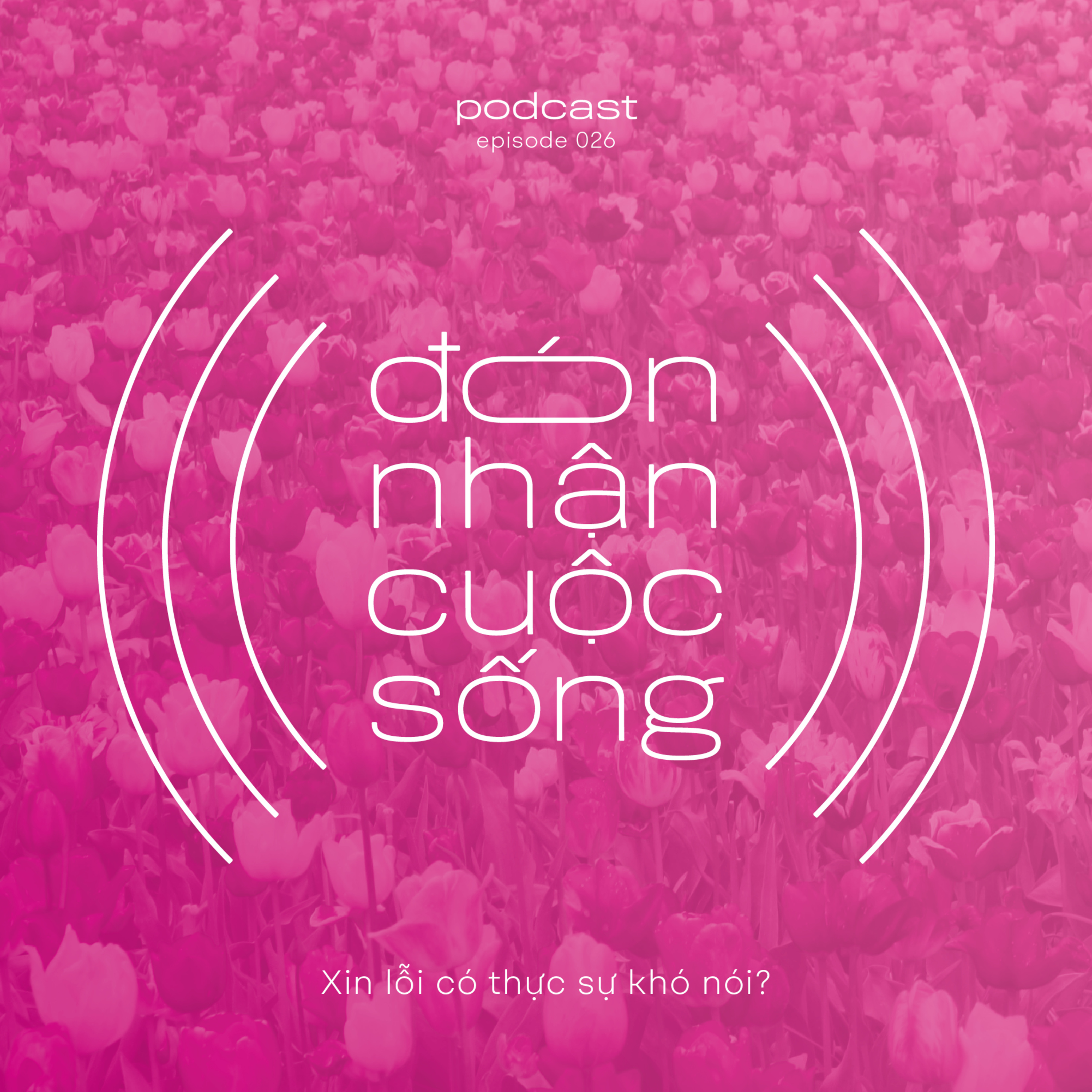 26. Lời xin lỗi có thực sự khó nói vậy không? episode artwork