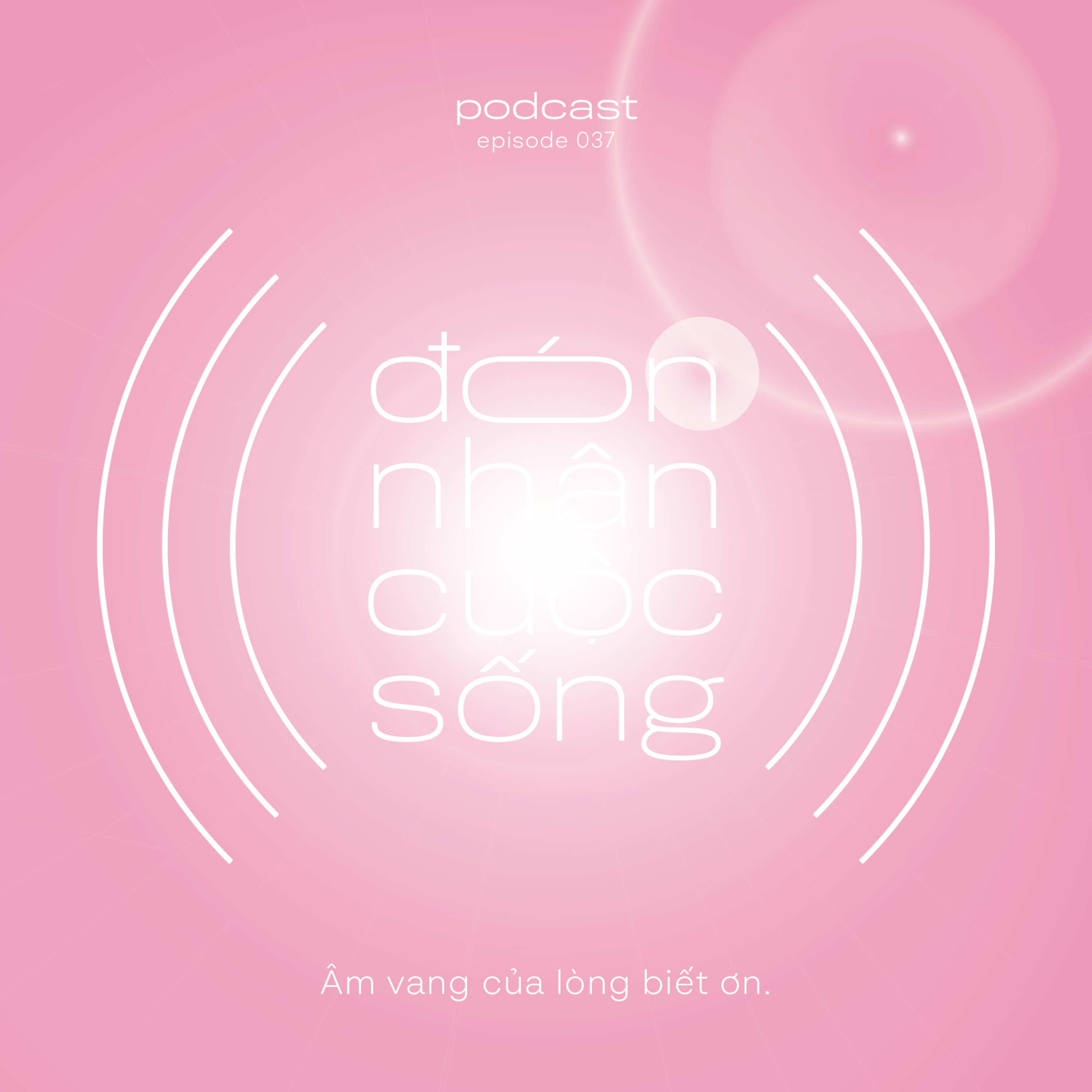 37. Âm vang của lòng biết ơn. episode artwork