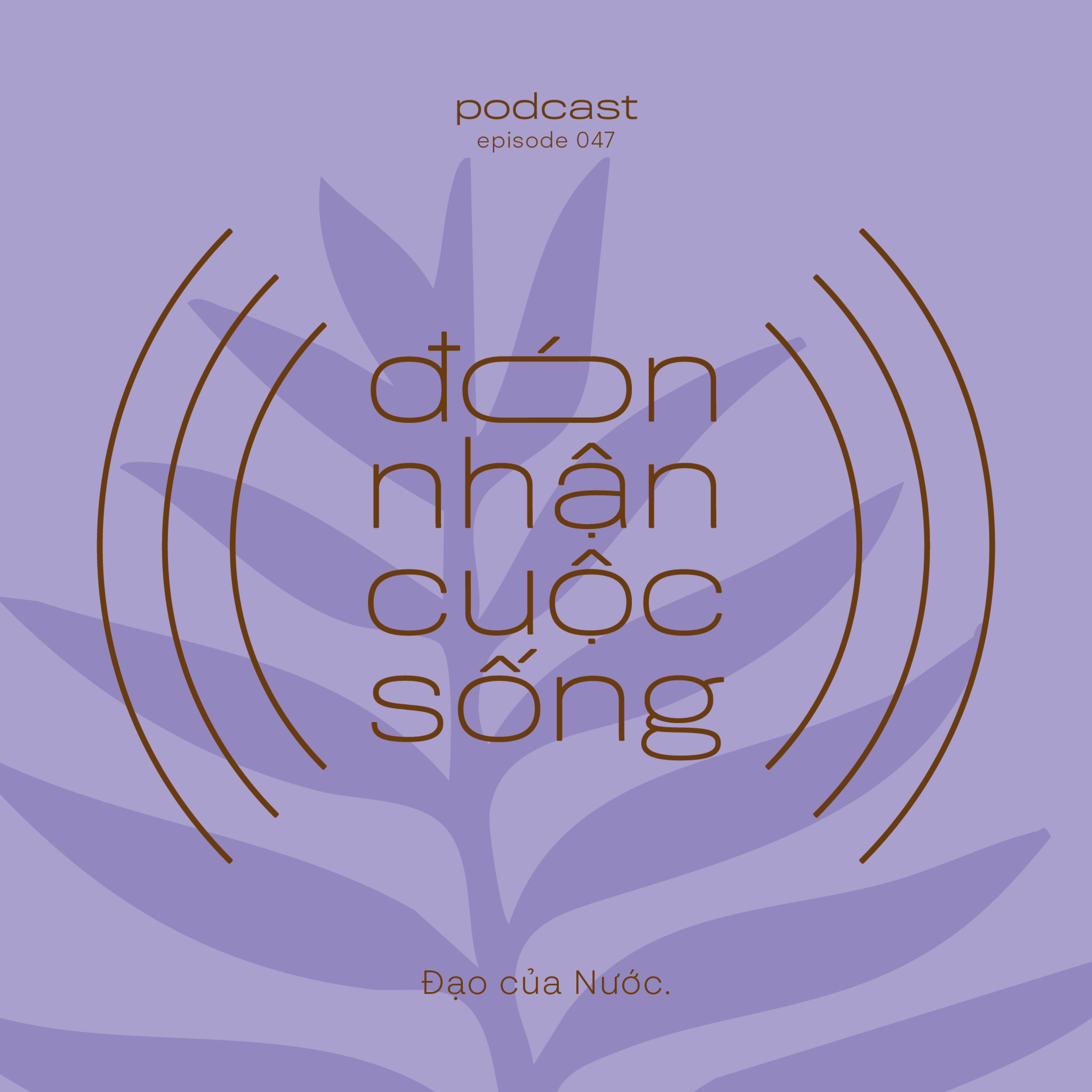 47. Đạo của Nước. episode artwork
