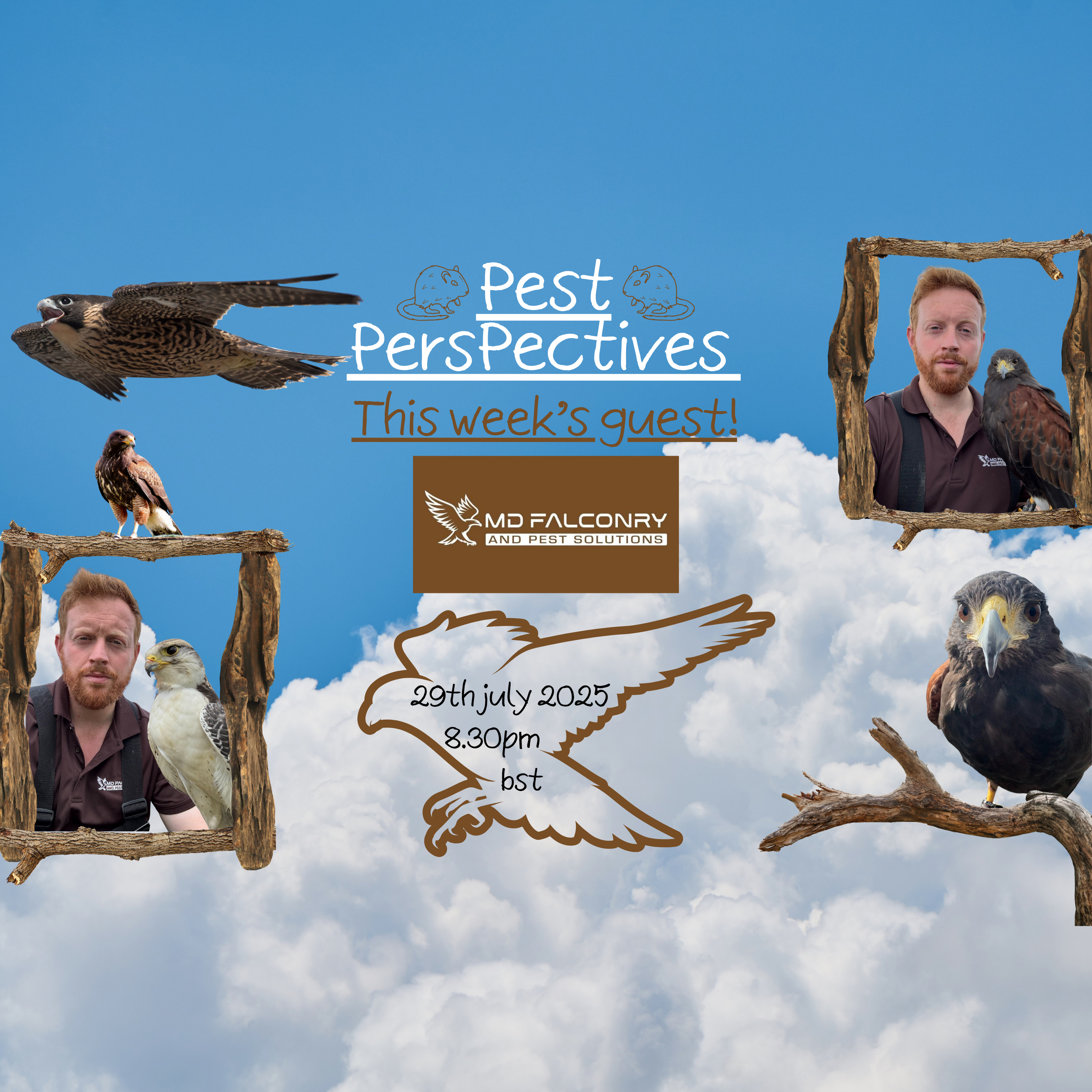  Pest perspectives EP 26 - Michael Dall - MD Falconry And Pest Solutions episode artwork