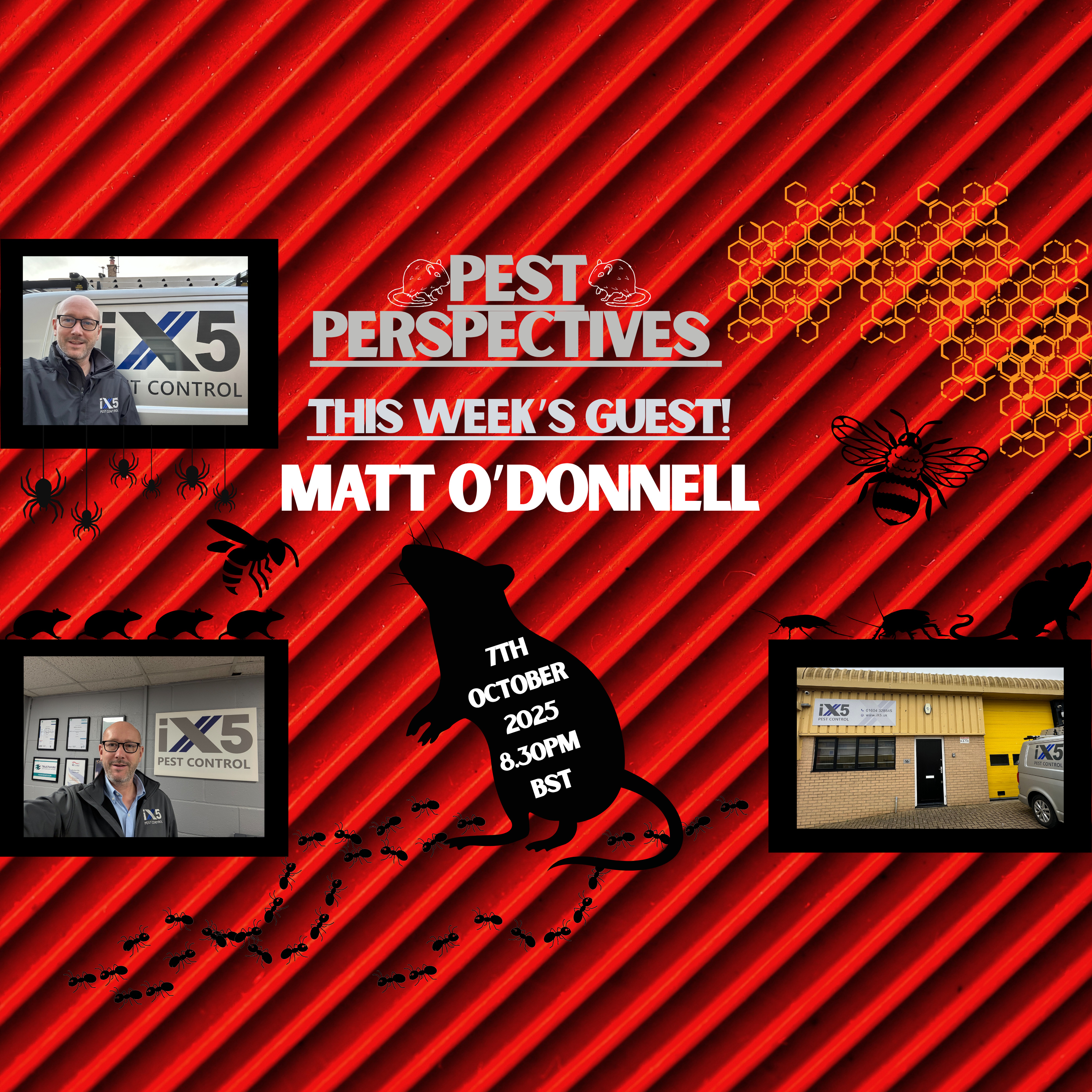 Pest Perspectives: UK Pest Management & AI Insights