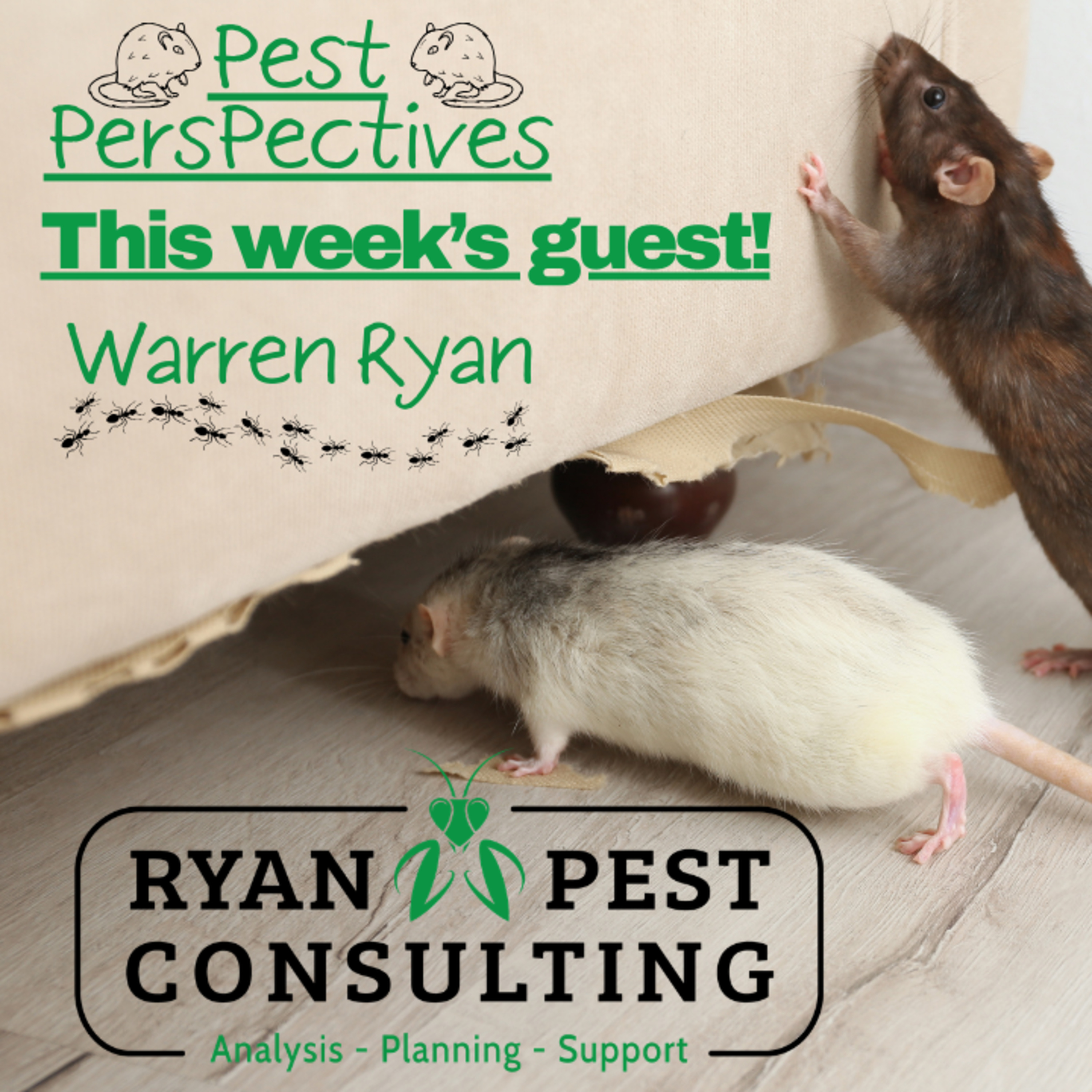 Designing Commercial Pest Programs that Work - Warren Ryan on Pest Perspectives EP 56 episode artwork