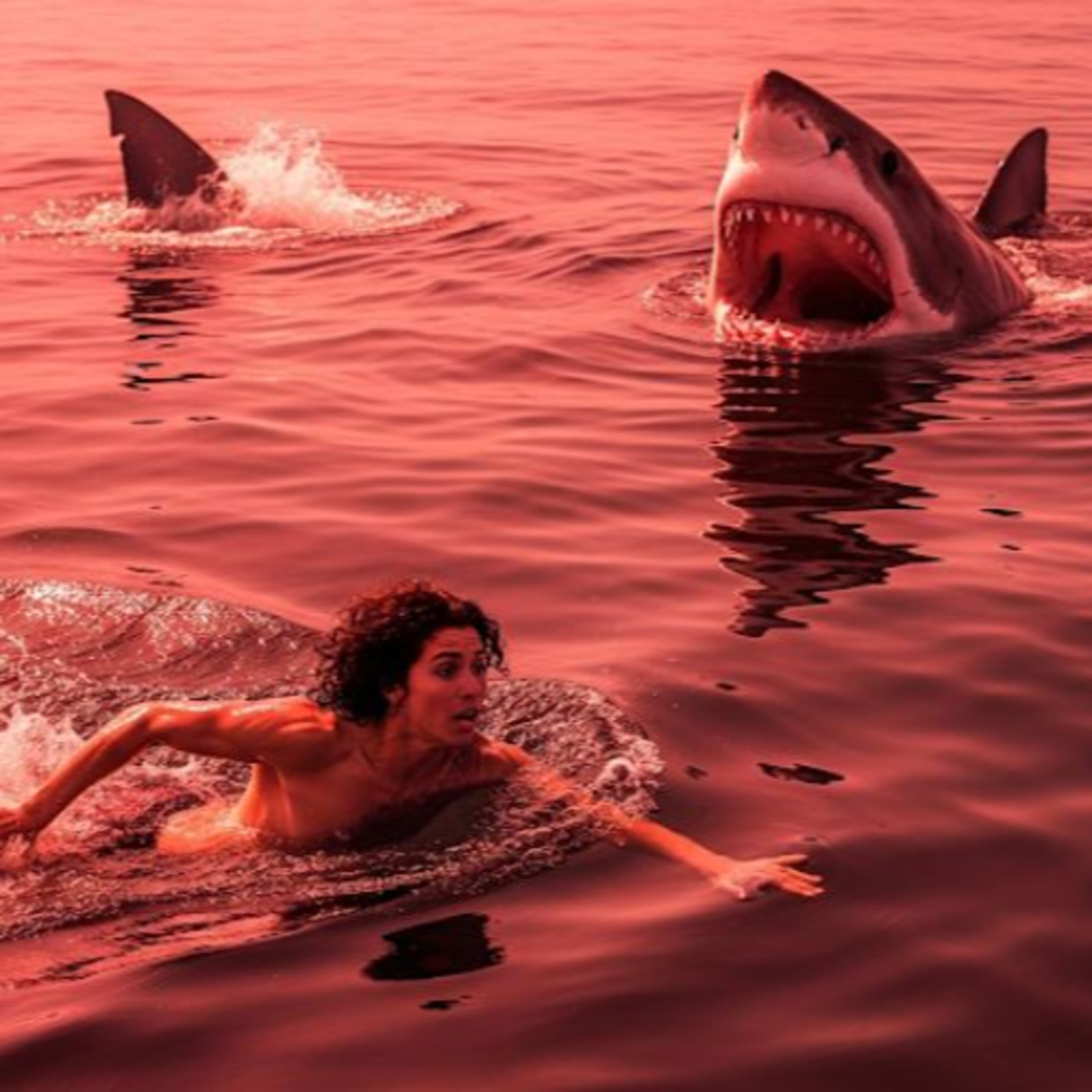 #97 - Are shark attacks truly on the rise
