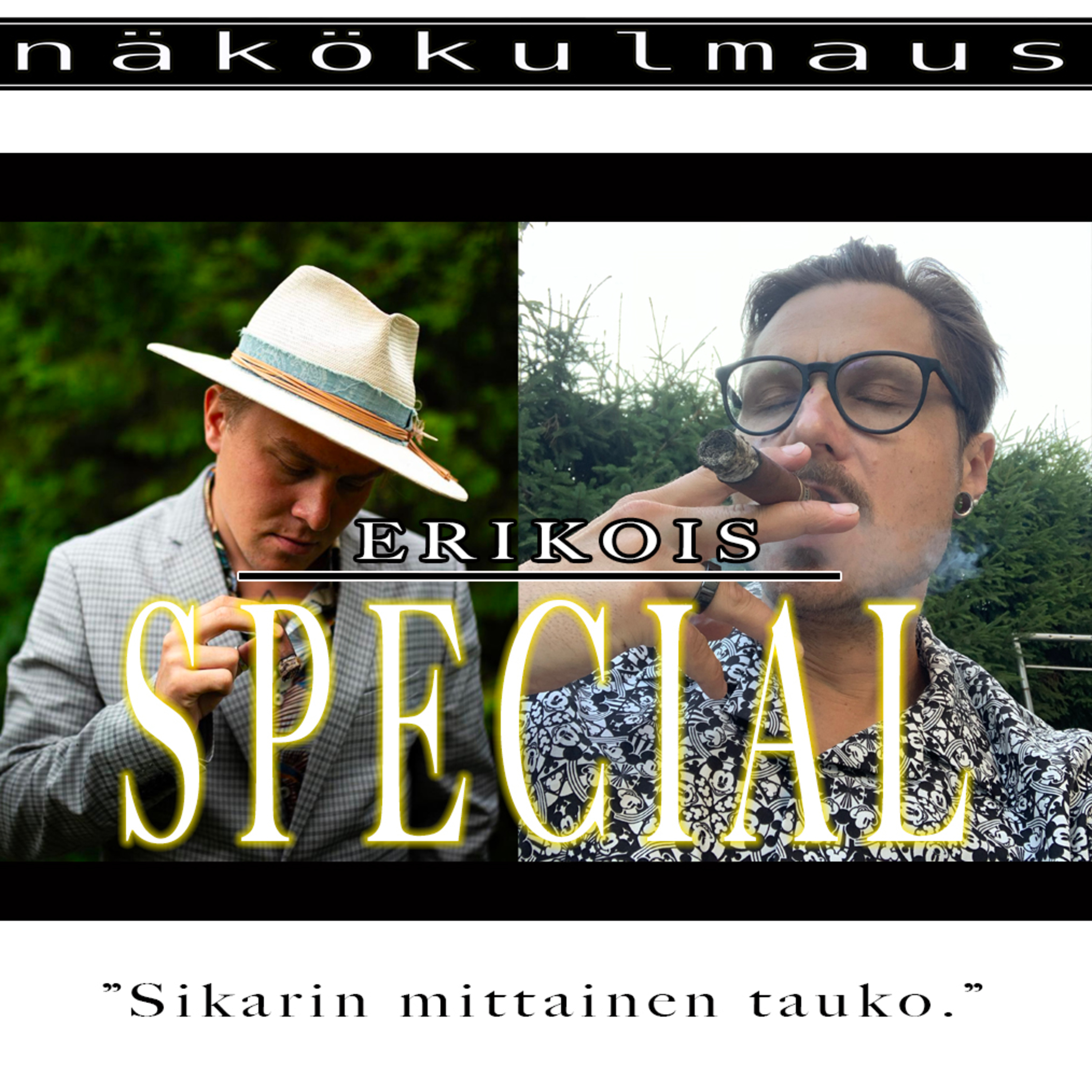 Erikoisspecial episode artwork