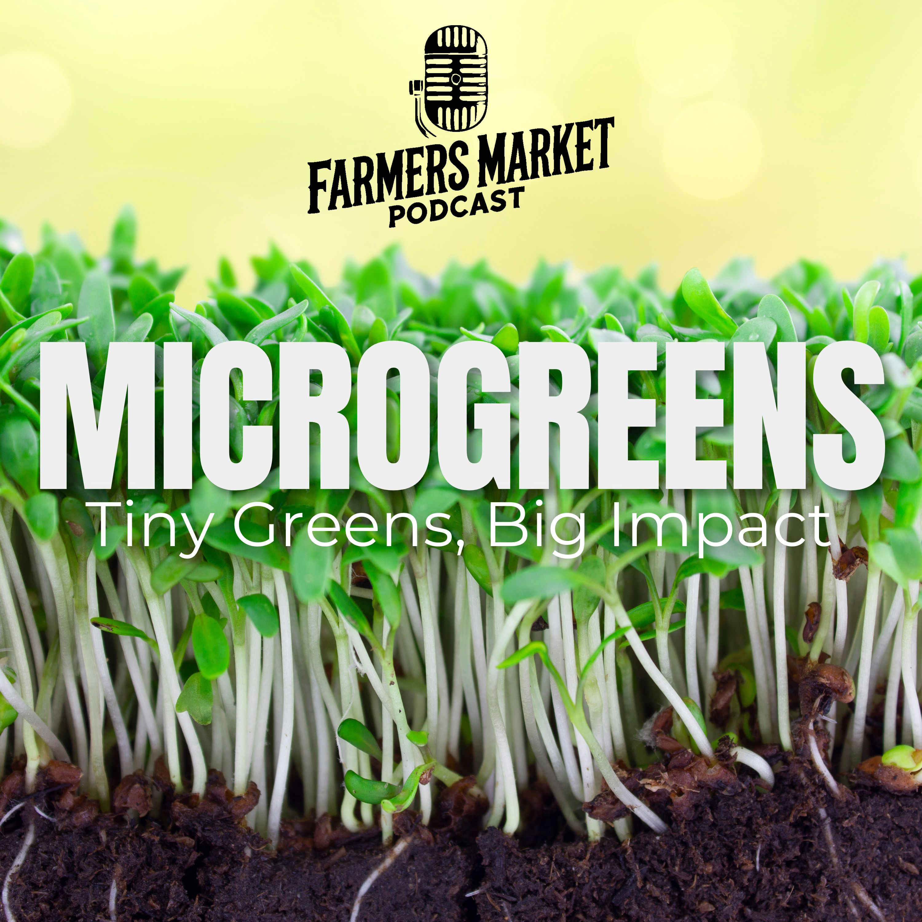 Tiny Greens, Big Impact plus the Perfect Tomato for Your Garden! FMP S3 E3 episode artwork