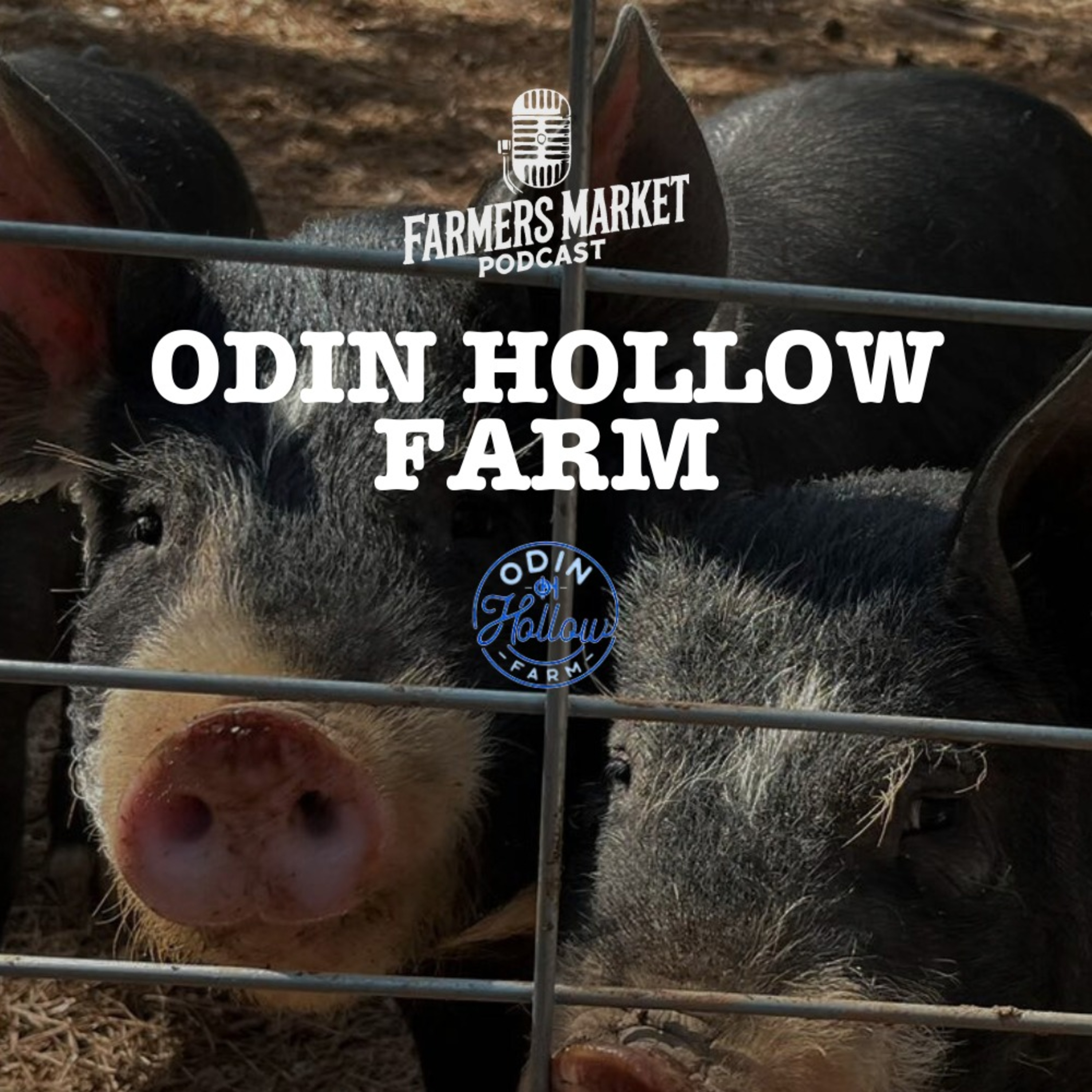 Odin Hollow Farm FMP S3 E6 episode artwork
