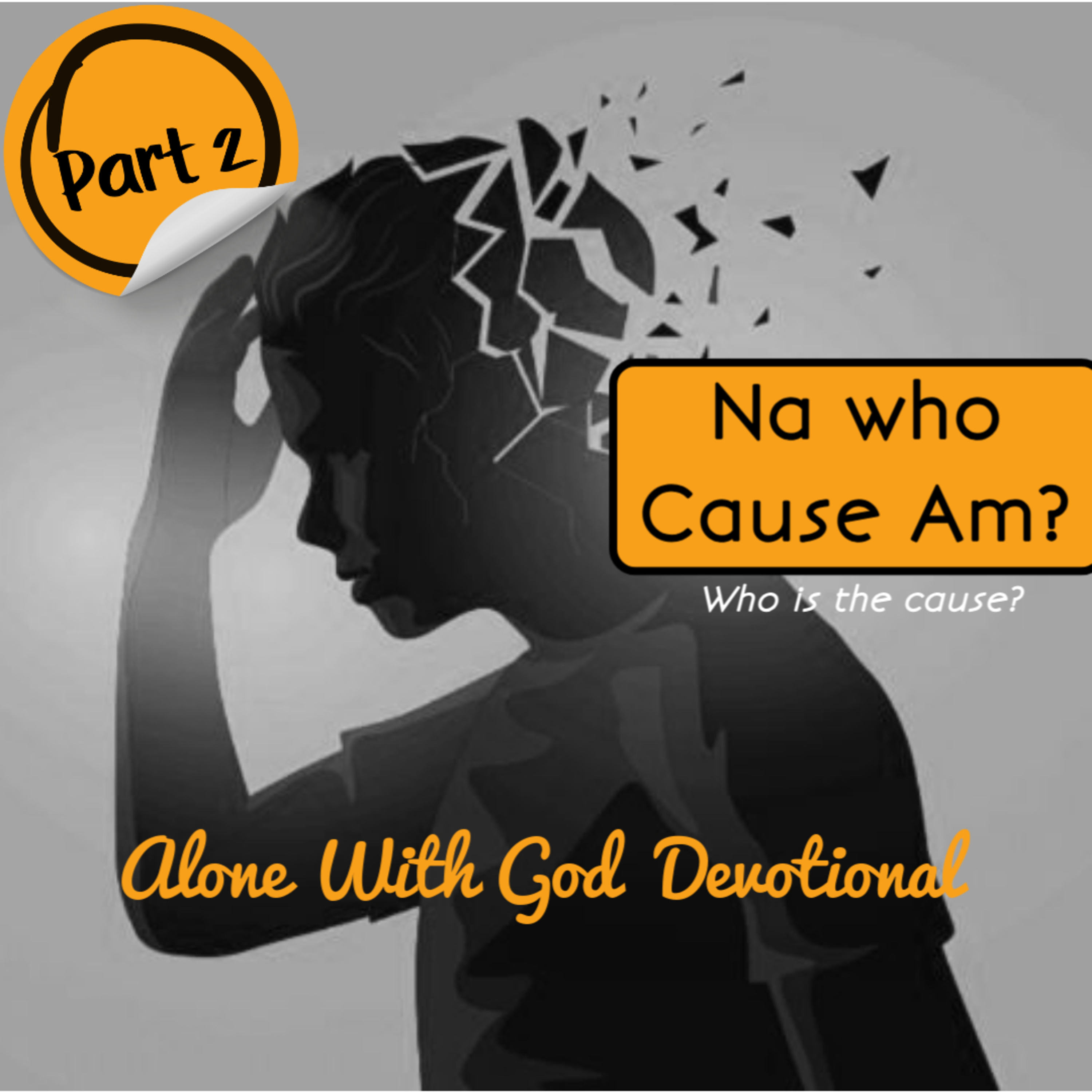 Na Who Cause Am? (Who caused this?) - Part II