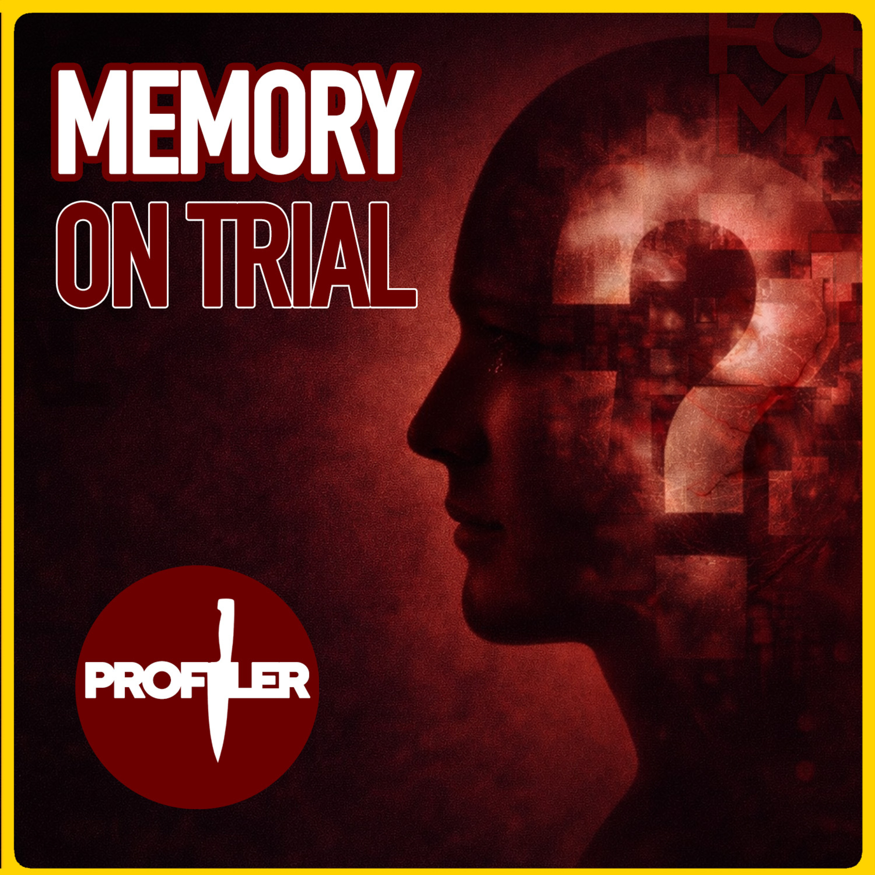 Memory on Trial | When Recovered Memories Decide Guilt | Profiler Africa