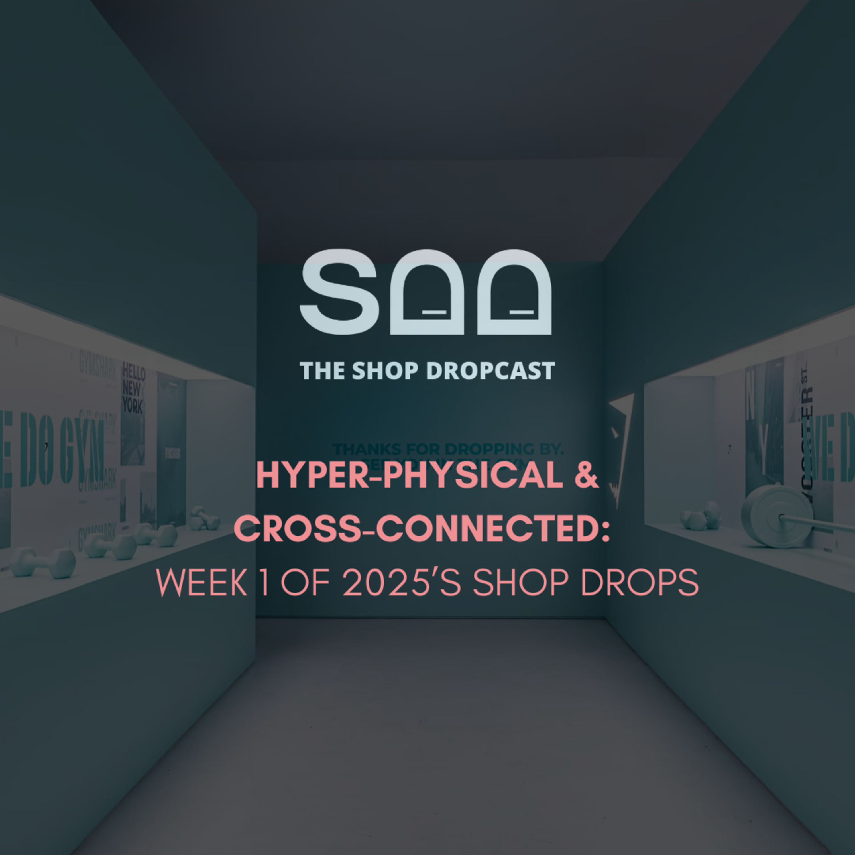 Hyper-Physical and Cross-Connected: 2025's First Week Of Stunning Shop Drops episode artwork