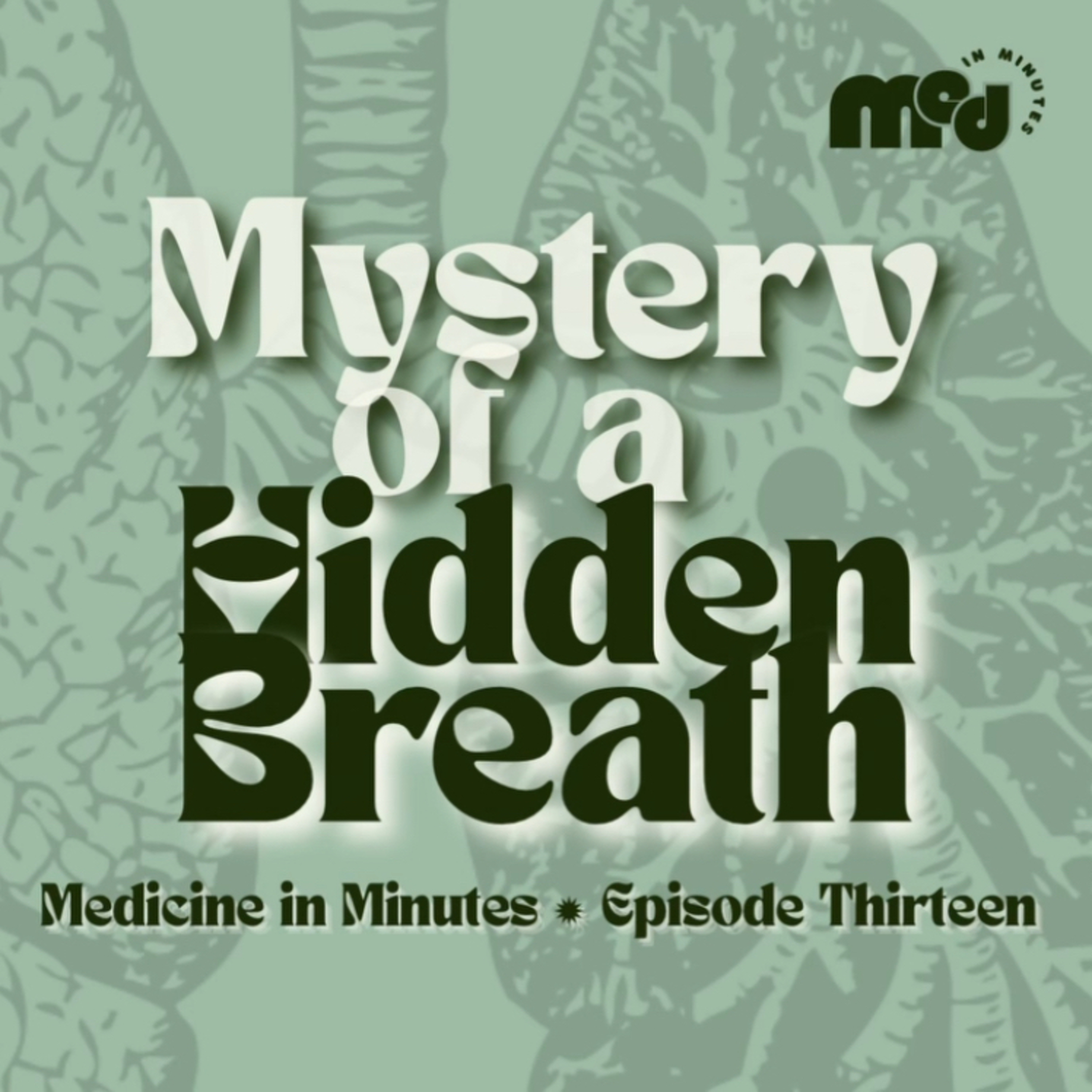 #13 - [RS Shelf Concept] Mystery of the Hidden Breath episode artwork