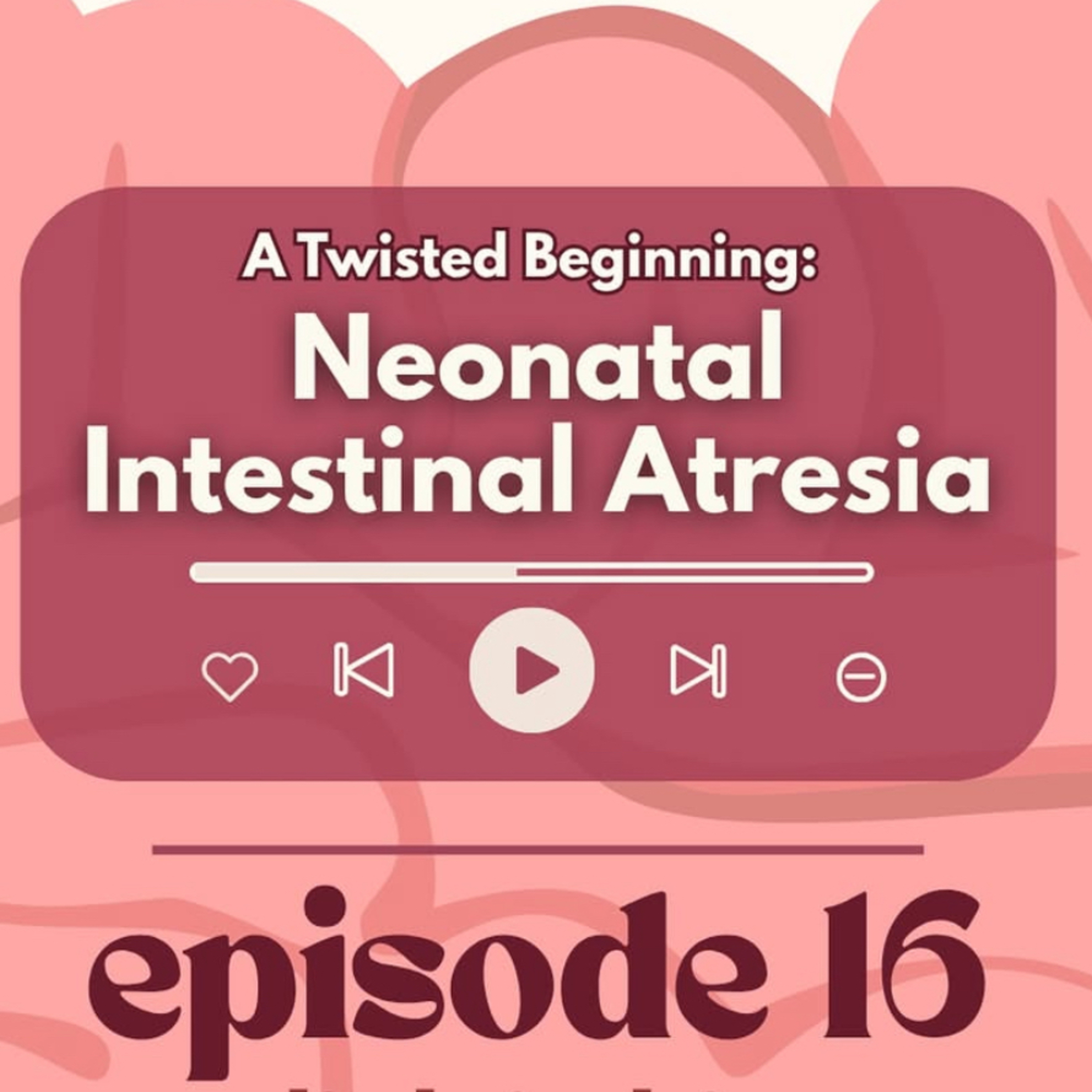 #16 - [GI Shelf Concept] A Twisted Beginning- Neonatal Intestinal Atresia episode artwork