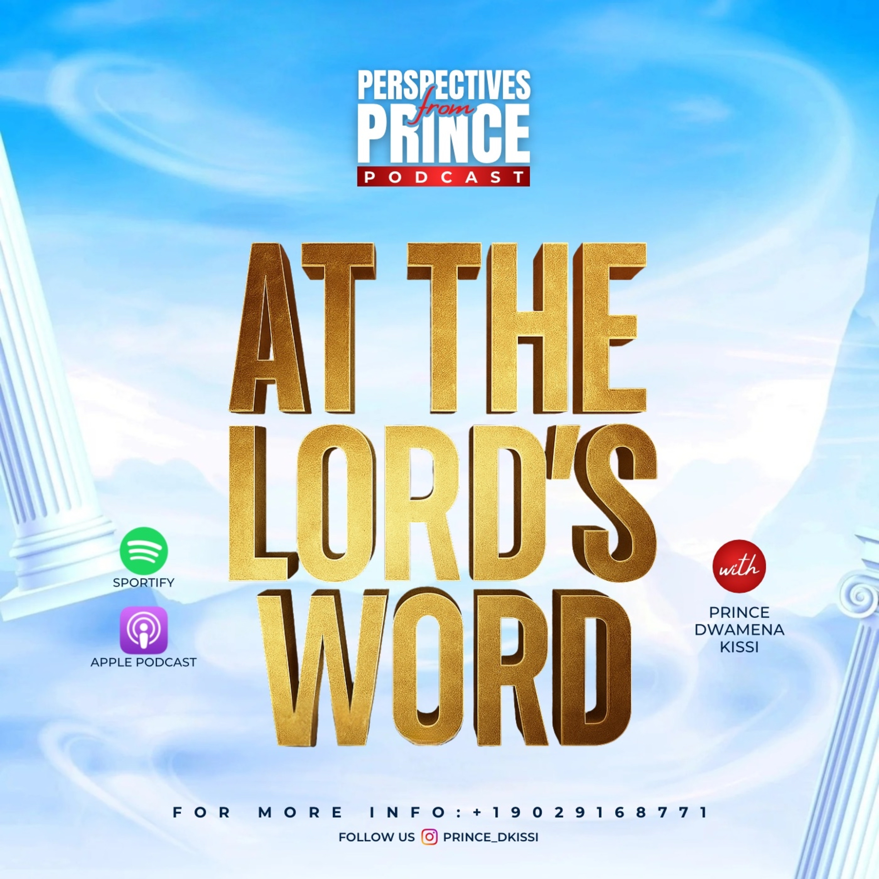 Perspectives from Prince