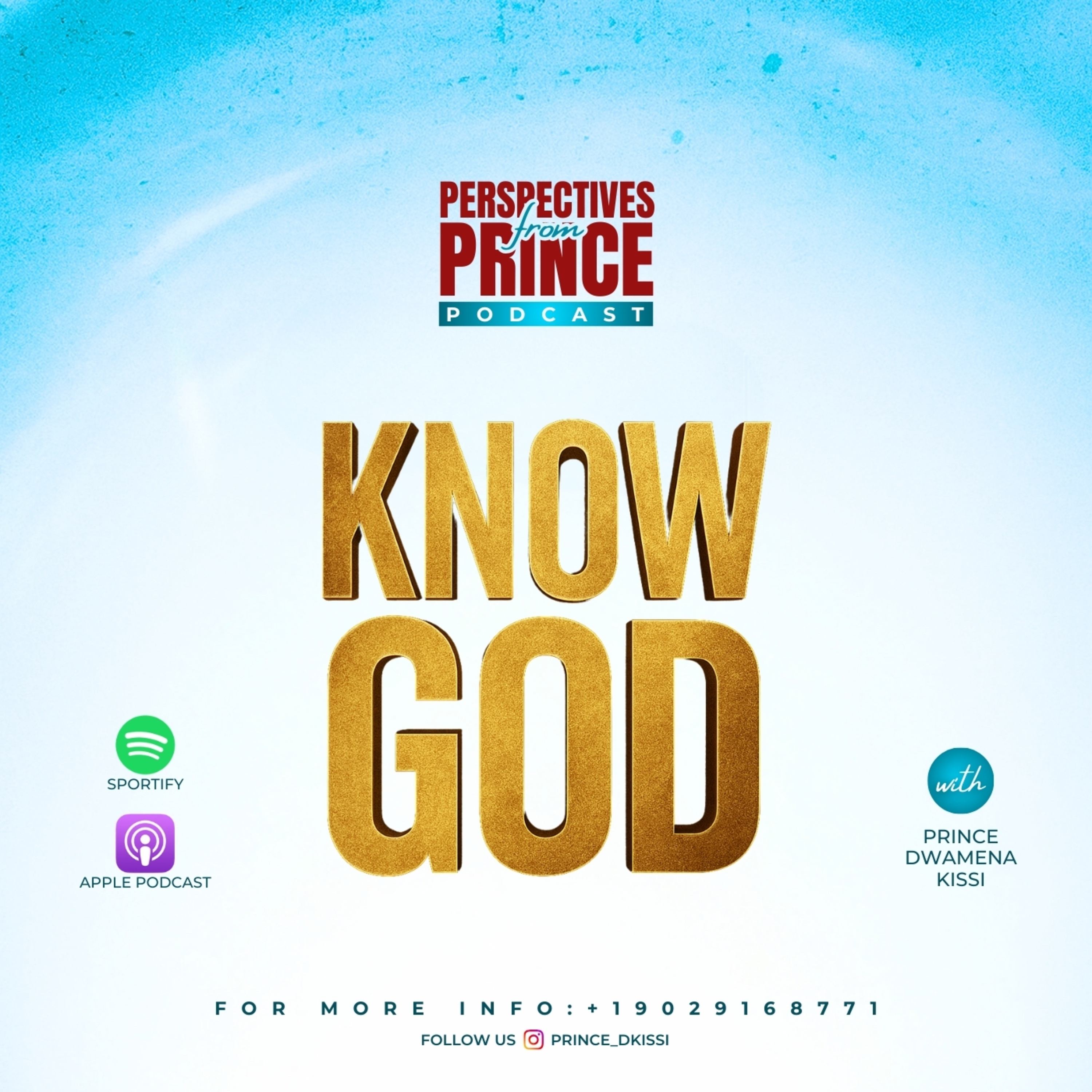 Perspectives from Prince